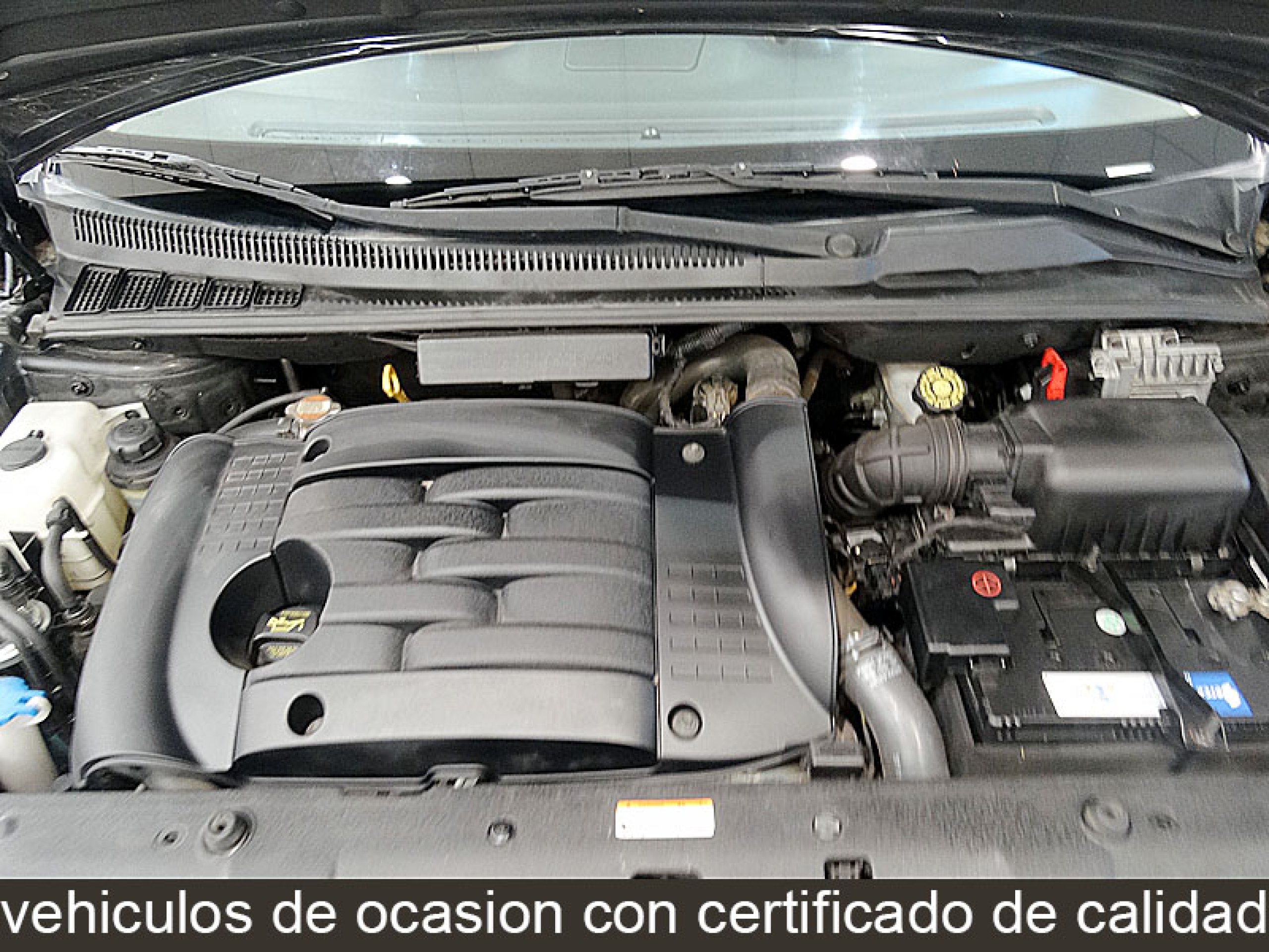 Foto Kia Carnival 13