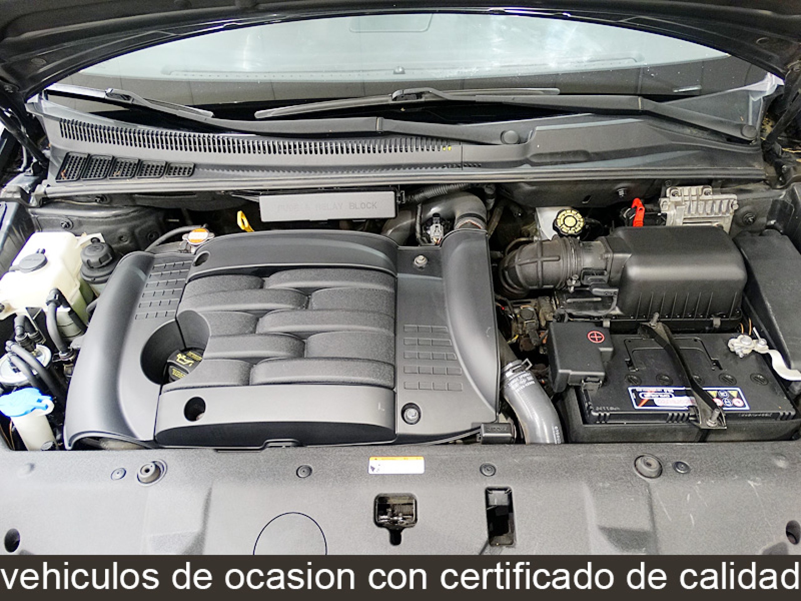 Foto Kia Carnival 16