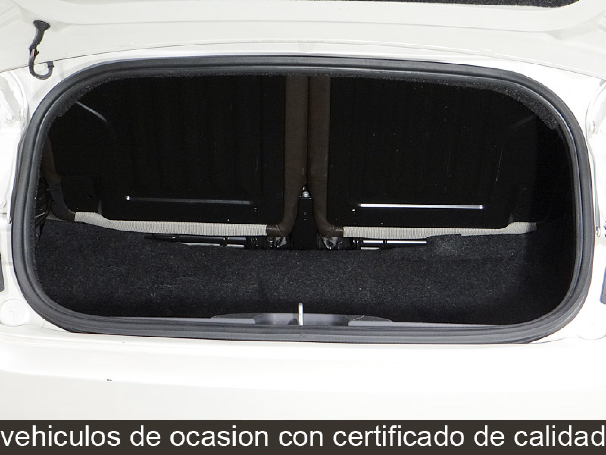 Foto Fiat 500C 16