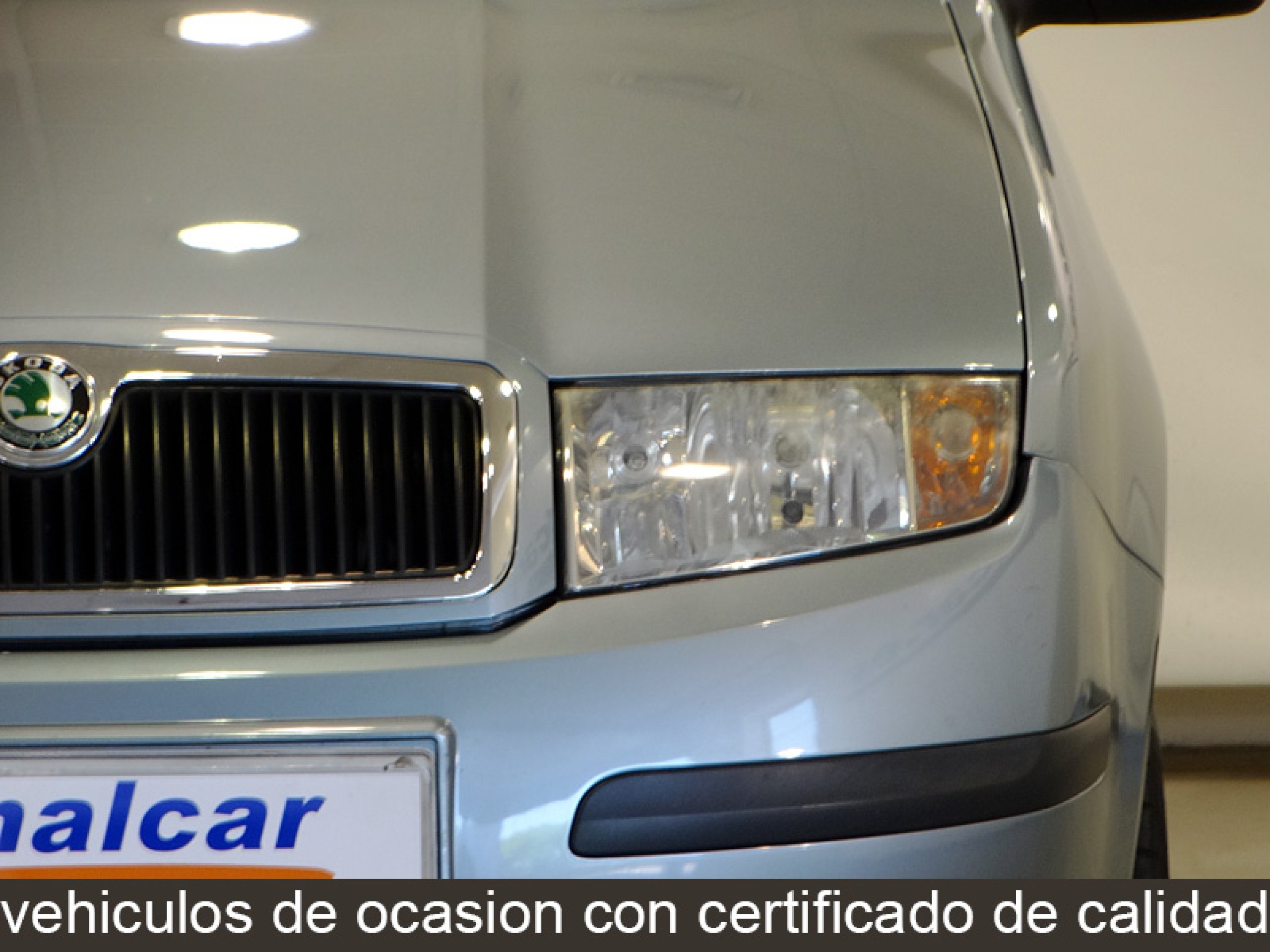 Foto Skoda Fabia 11