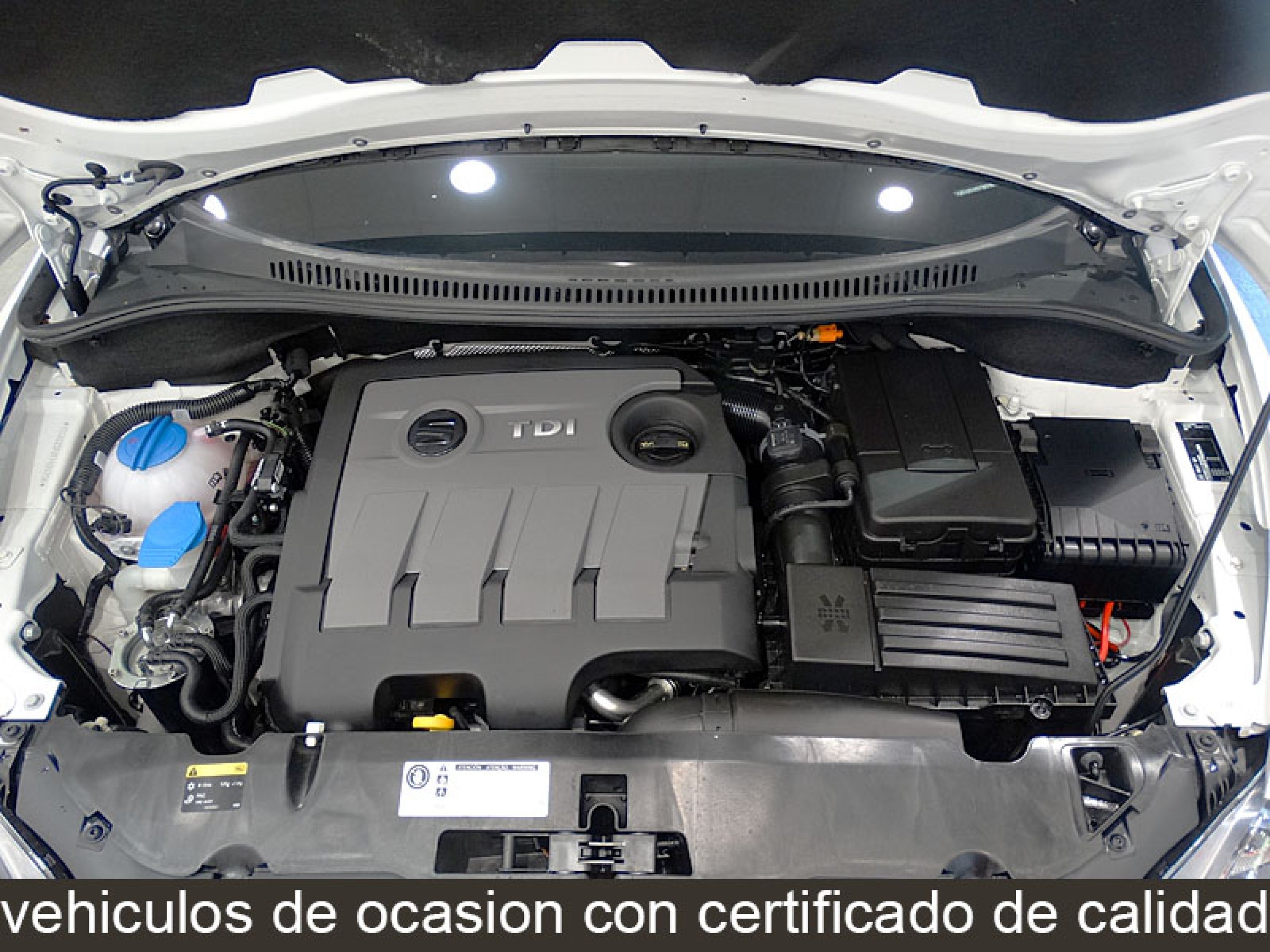Foto Seat Altea XL 15