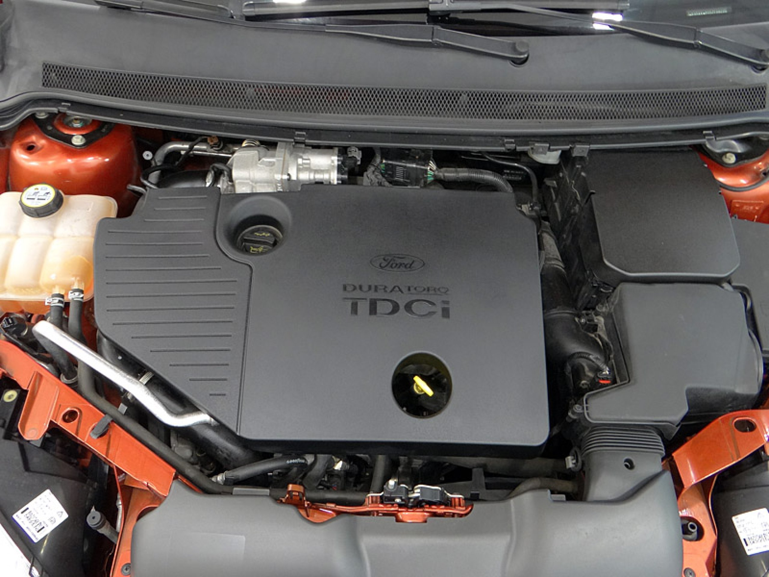 Foto Ford Focus 19