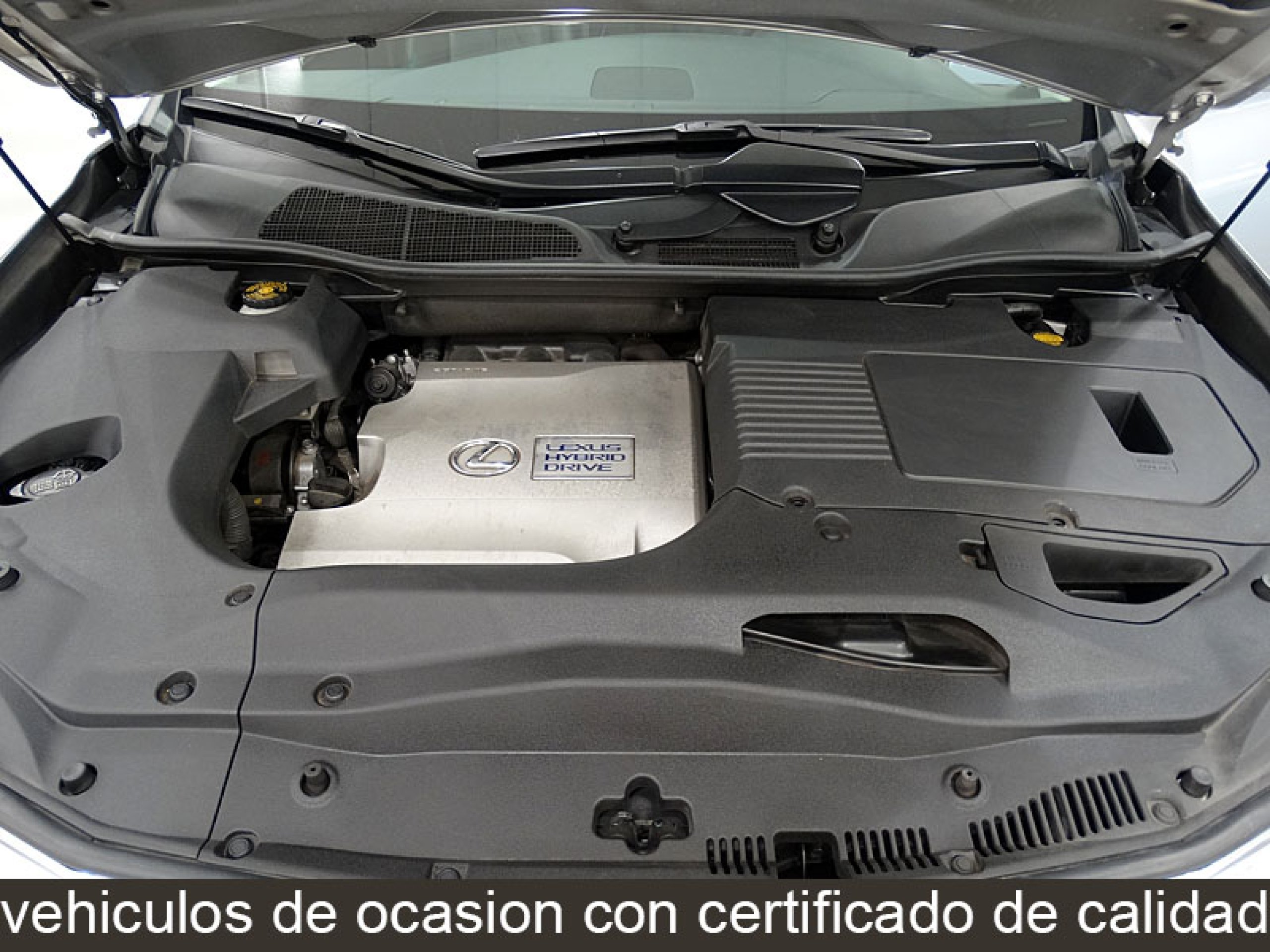 Foto Lexus RX 450h 12