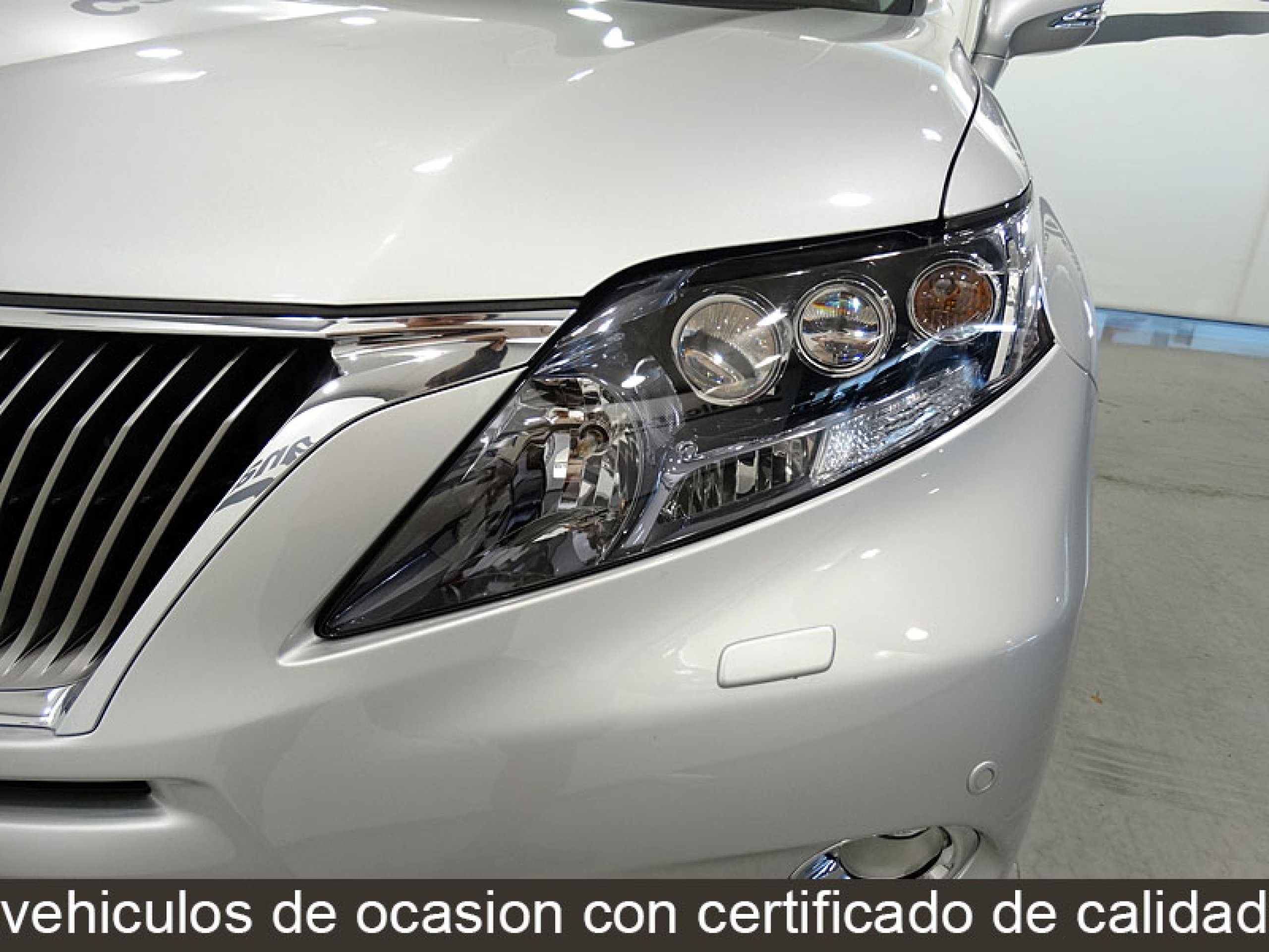 Foto Lexus RX 450h 19