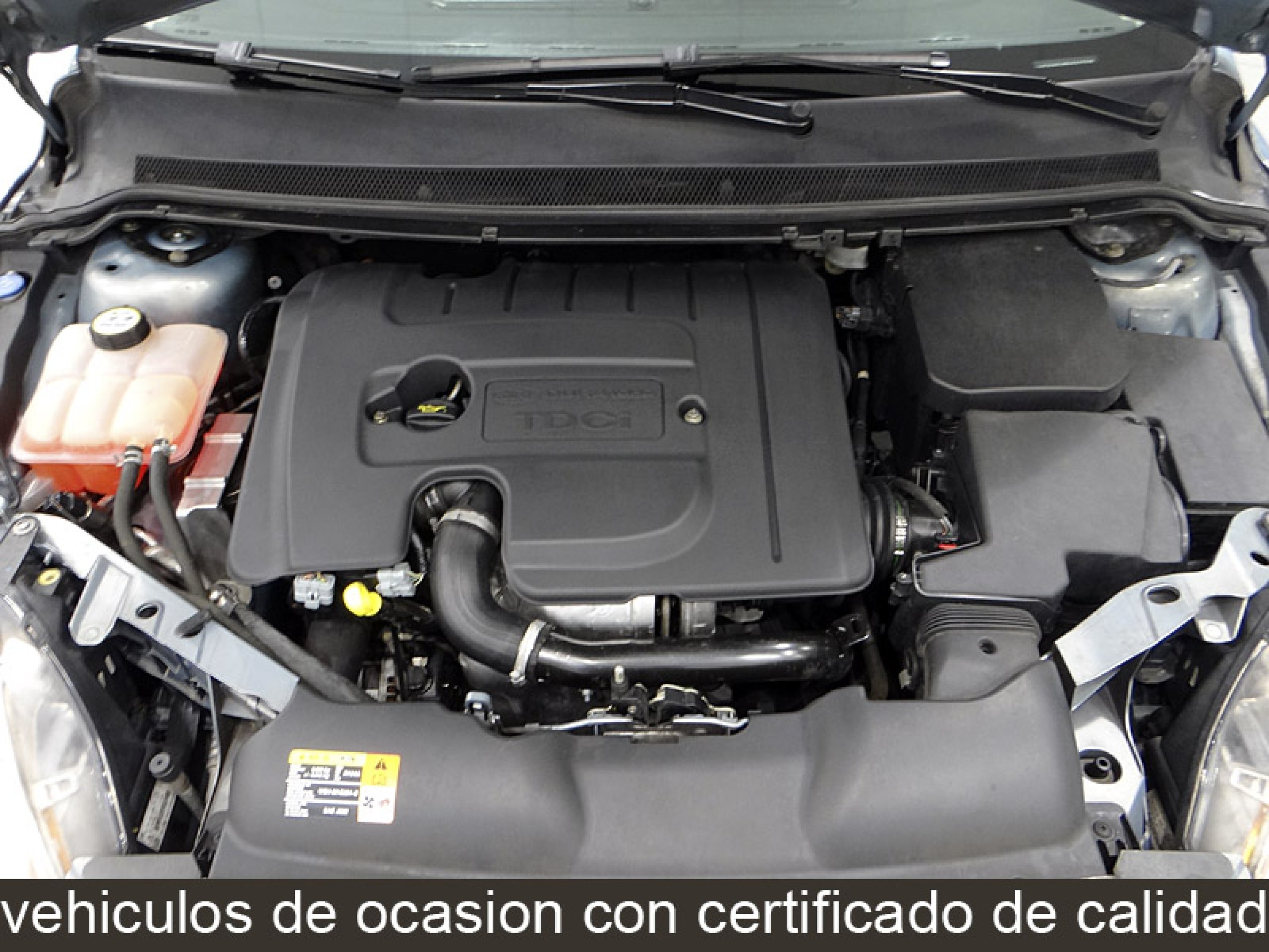 Foto Ford Focus 18