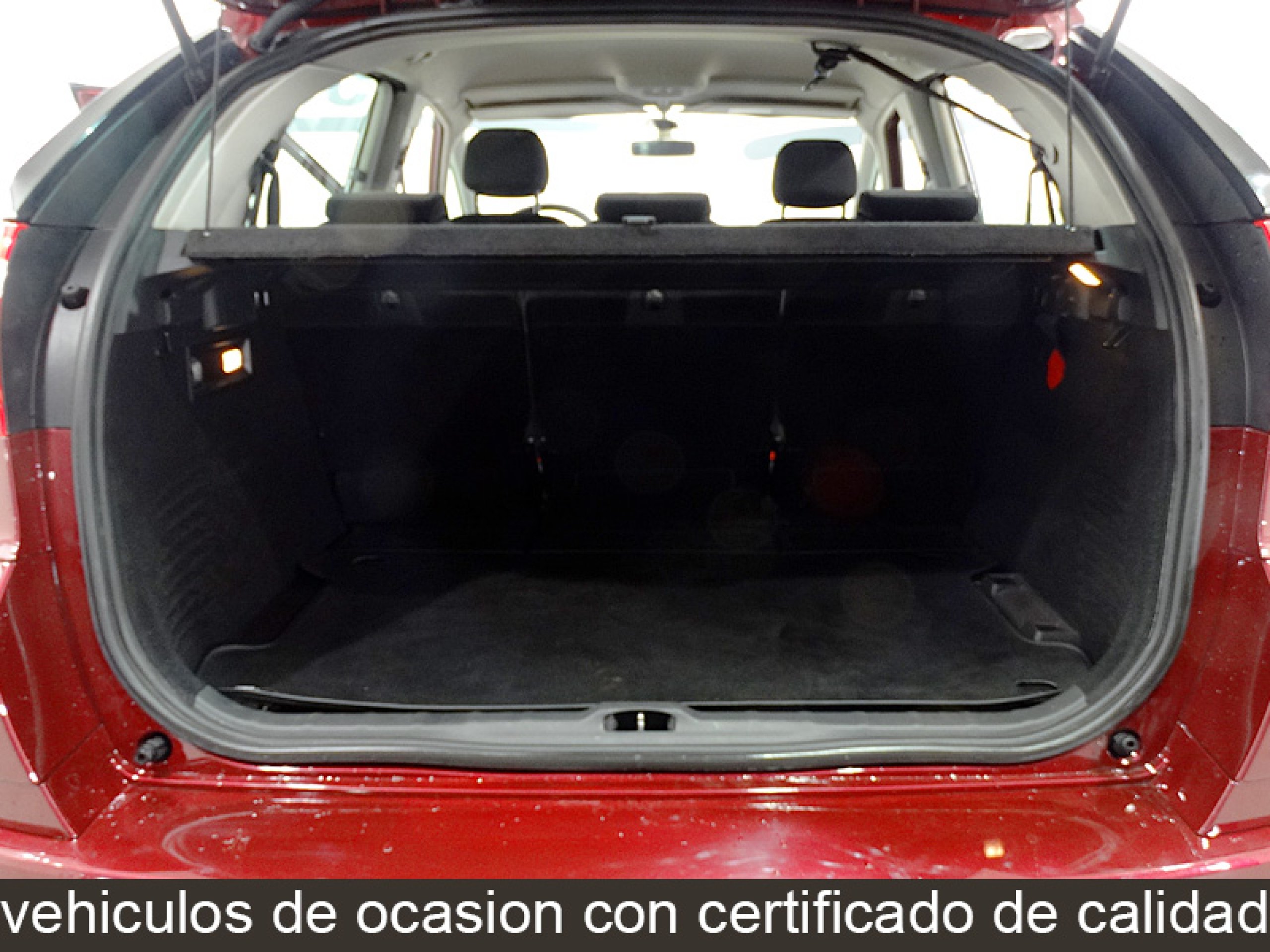 Foto Citroen C4 Picasso 16