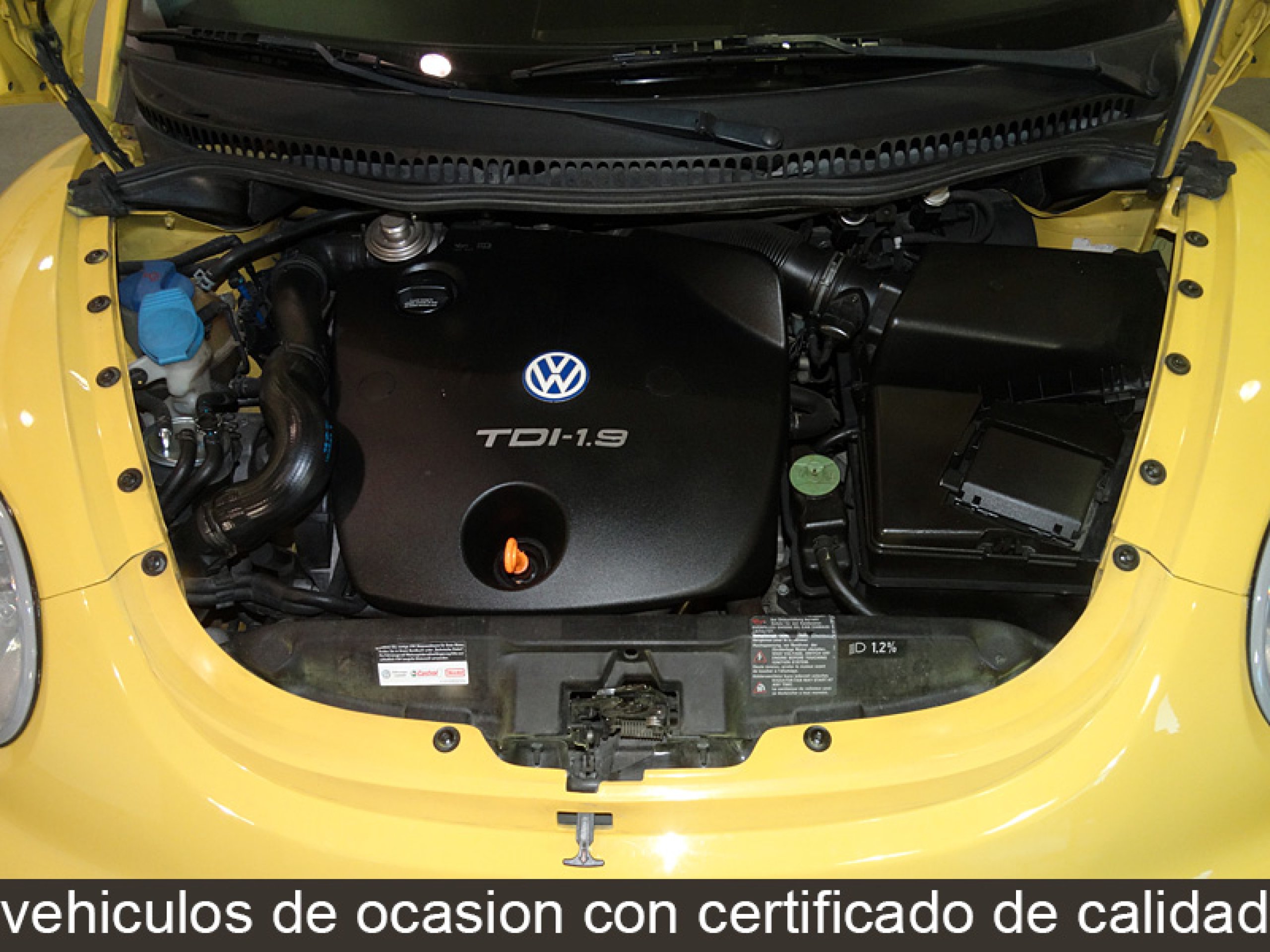 Foto Volkswagen New Beetle 8