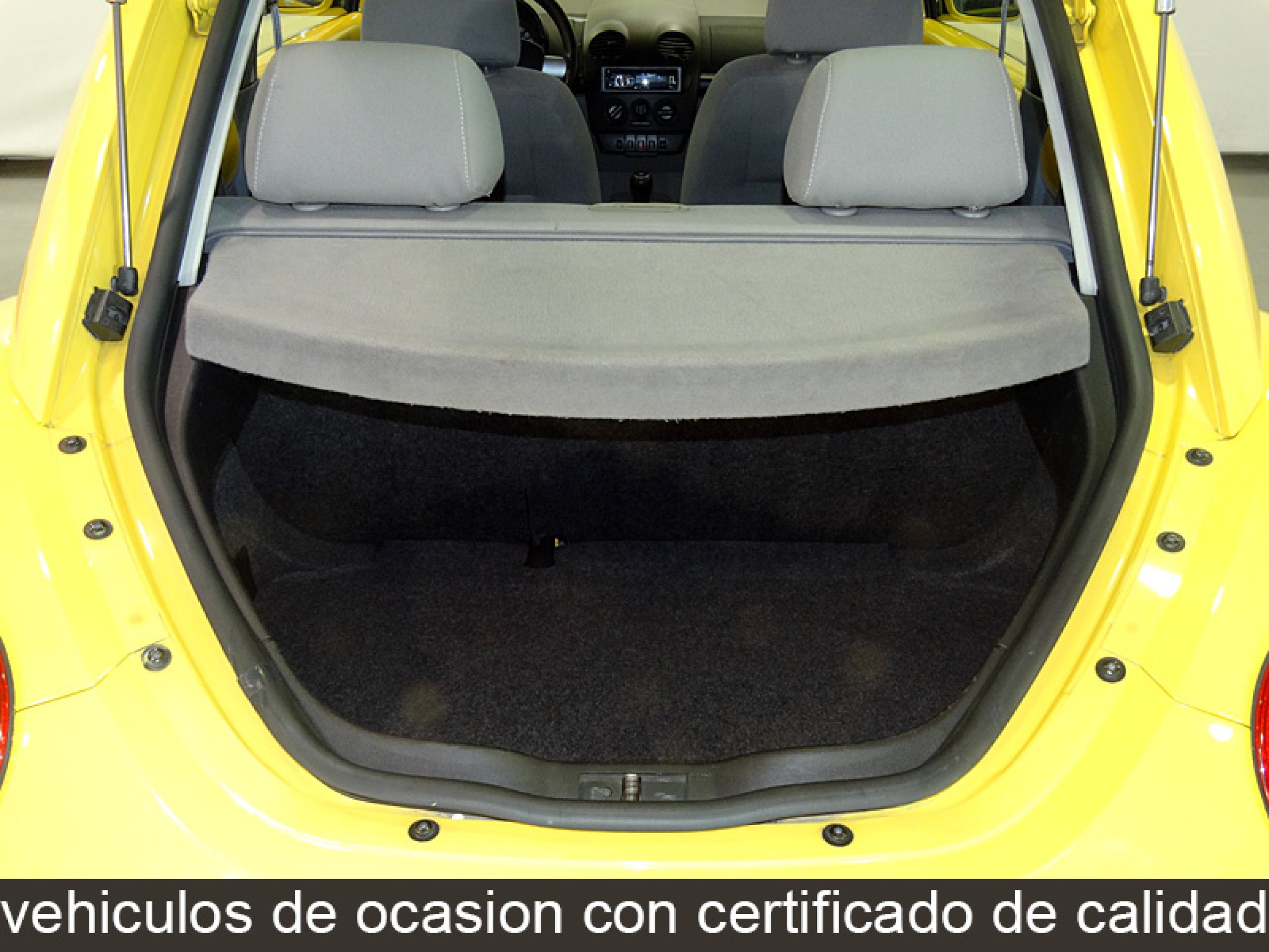 Foto Volkswagen New Beetle 9