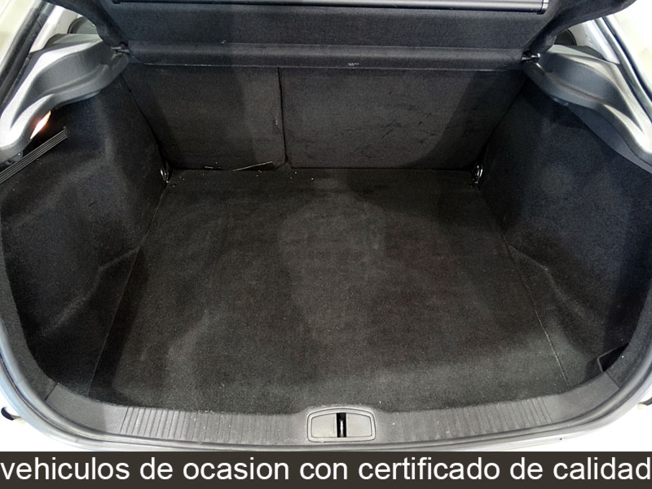 Foto Renault Laguna 14 Foto Renault Laguna 14