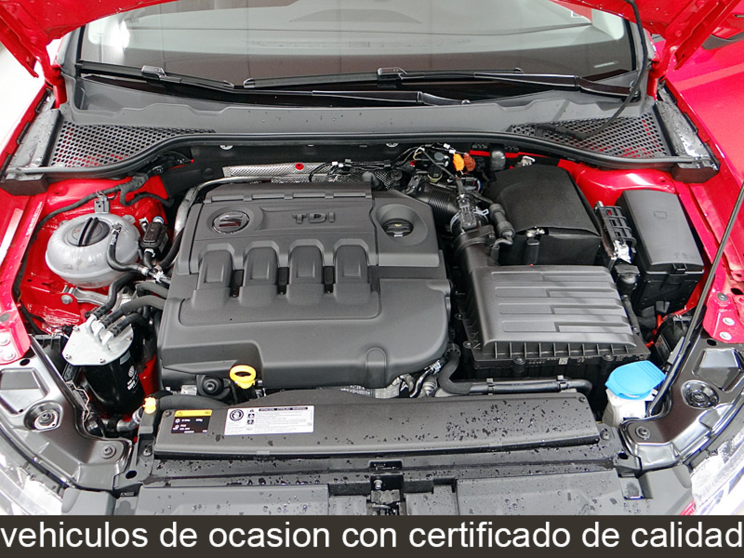 Foto Seat Leon 16