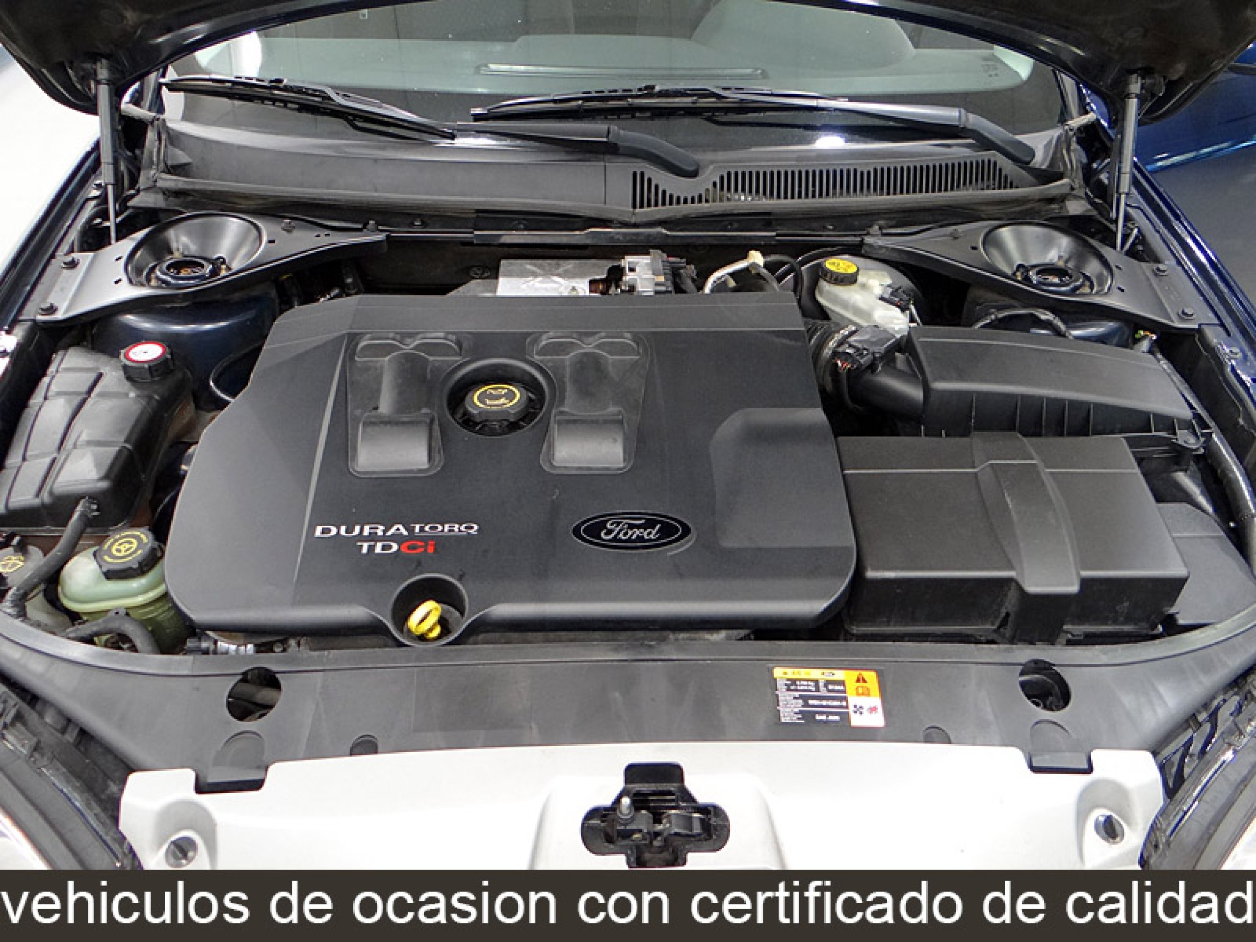 Foto Ford Mondeo 13 Foto Ford Mondeo 13