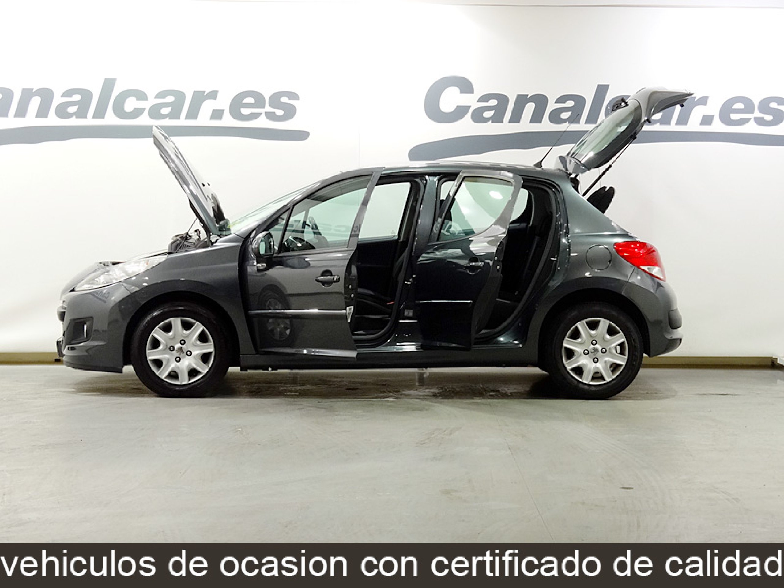 Foto Peugeot 207 10