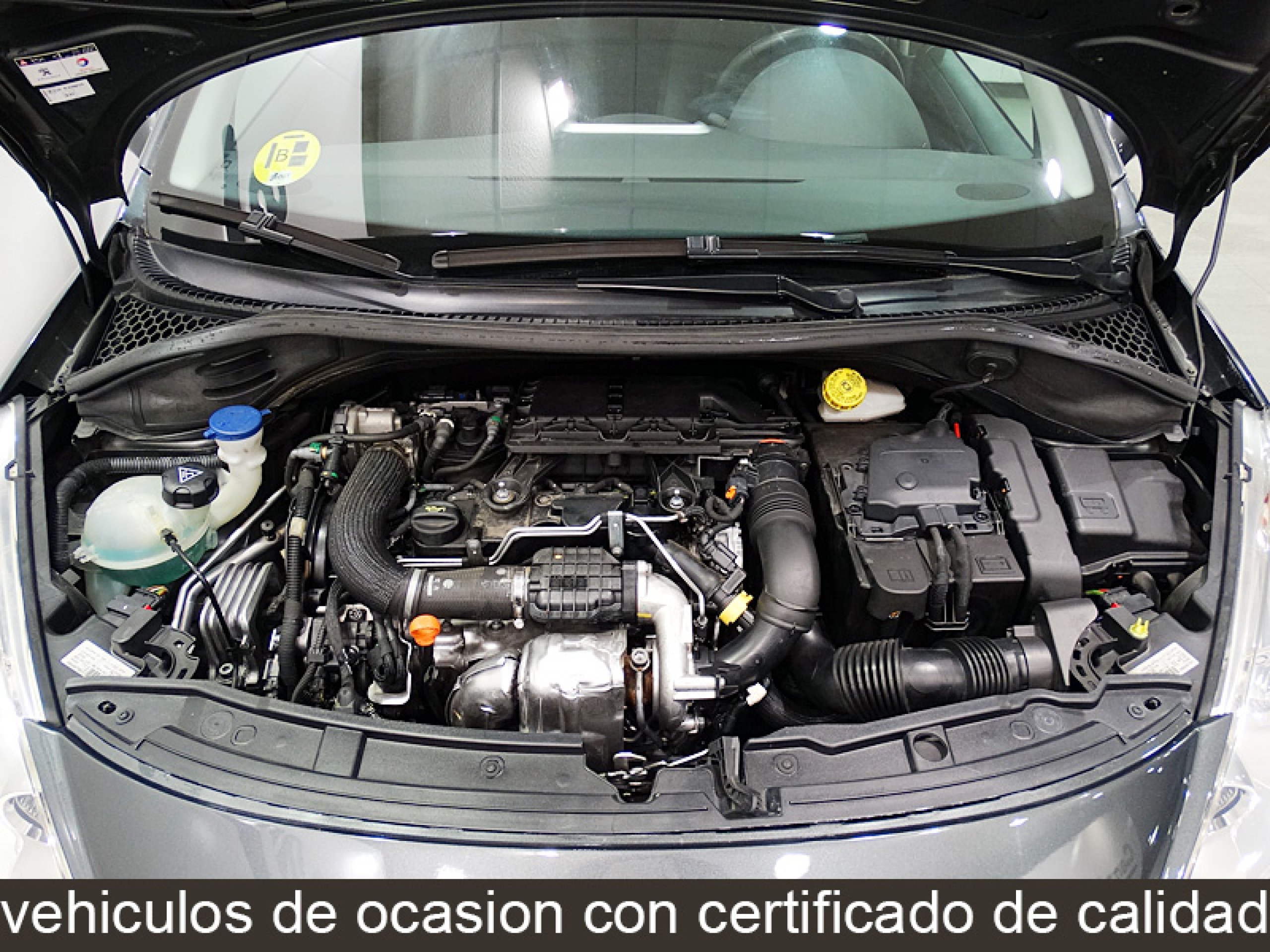 Foto Peugeot 207 11