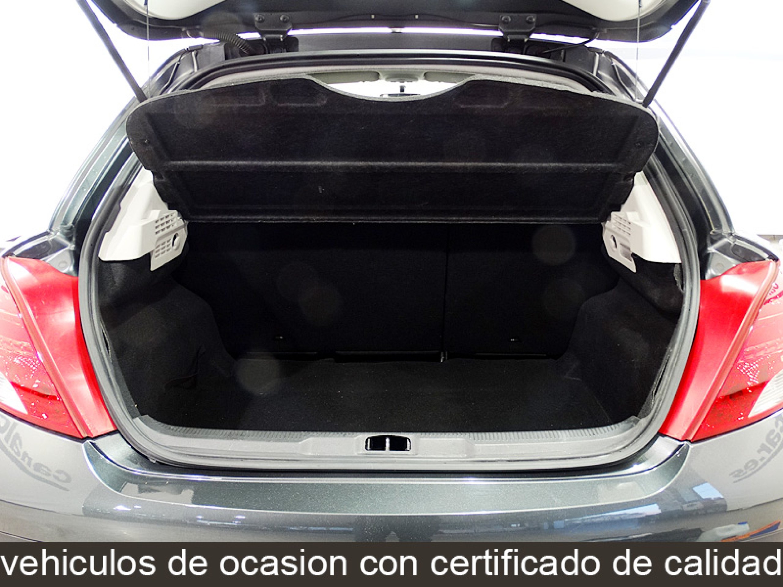 Foto Peugeot 207 12