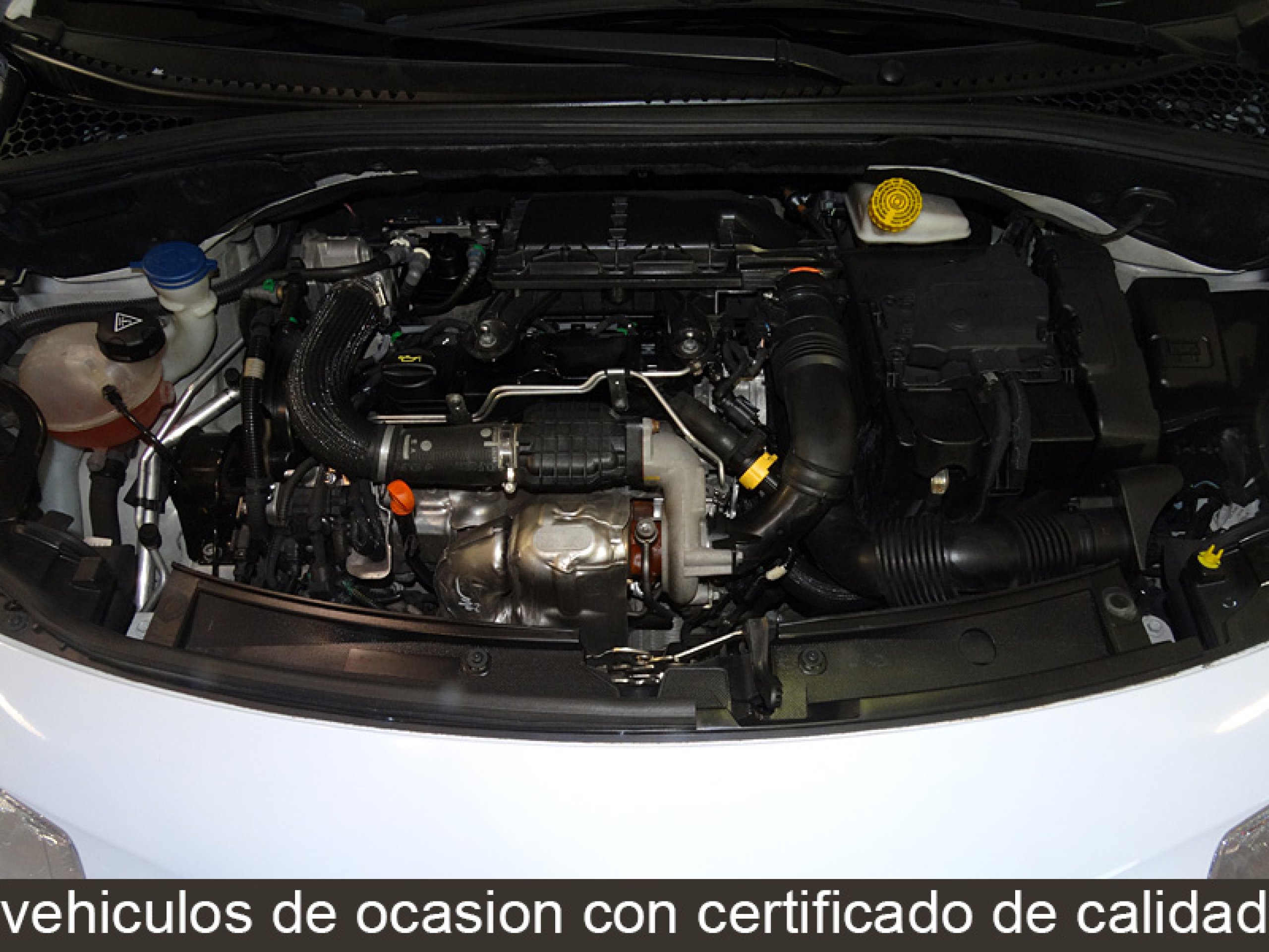 Foto Citroen C3 8