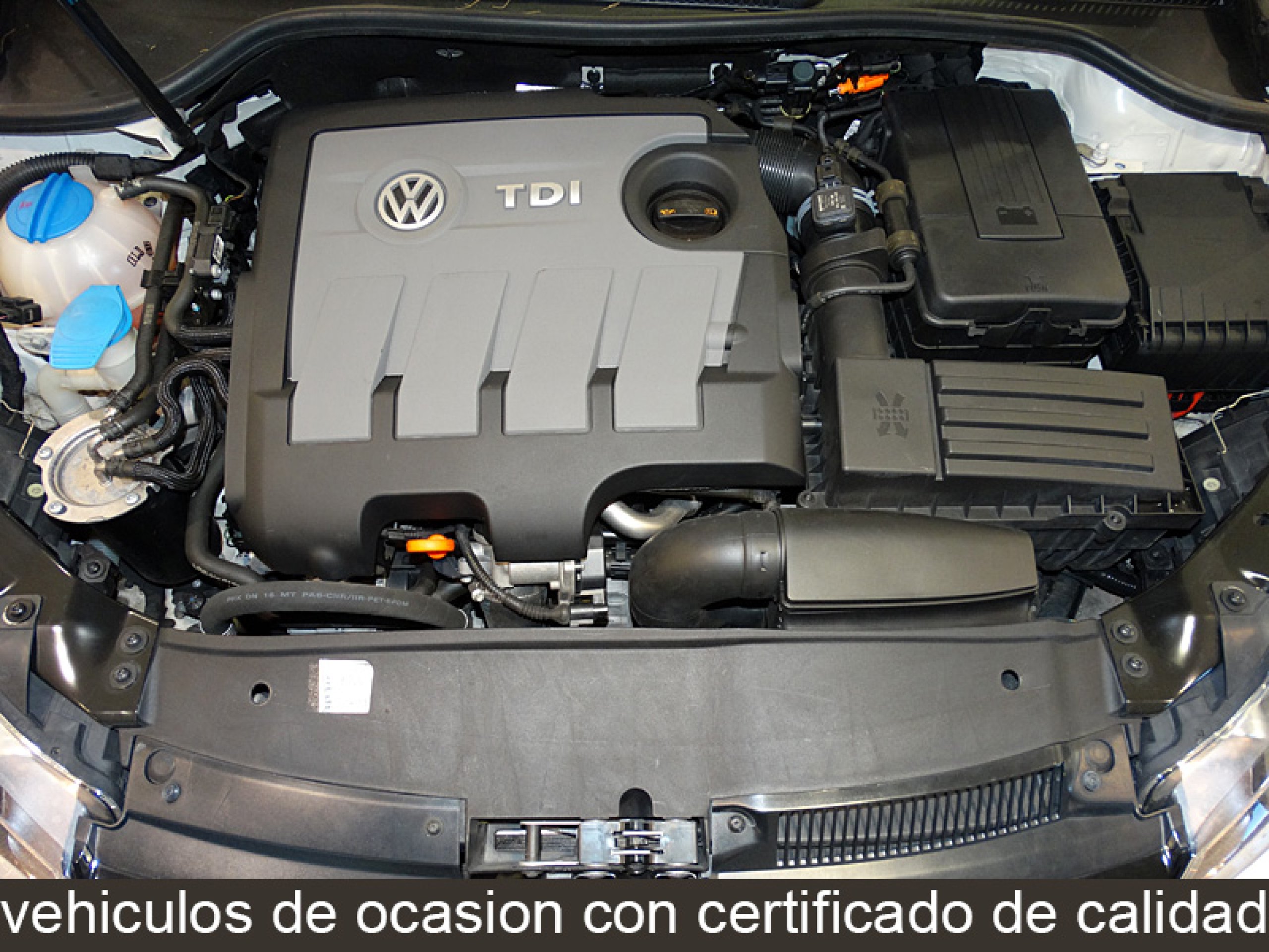 Foto Volkswagen Golf 8