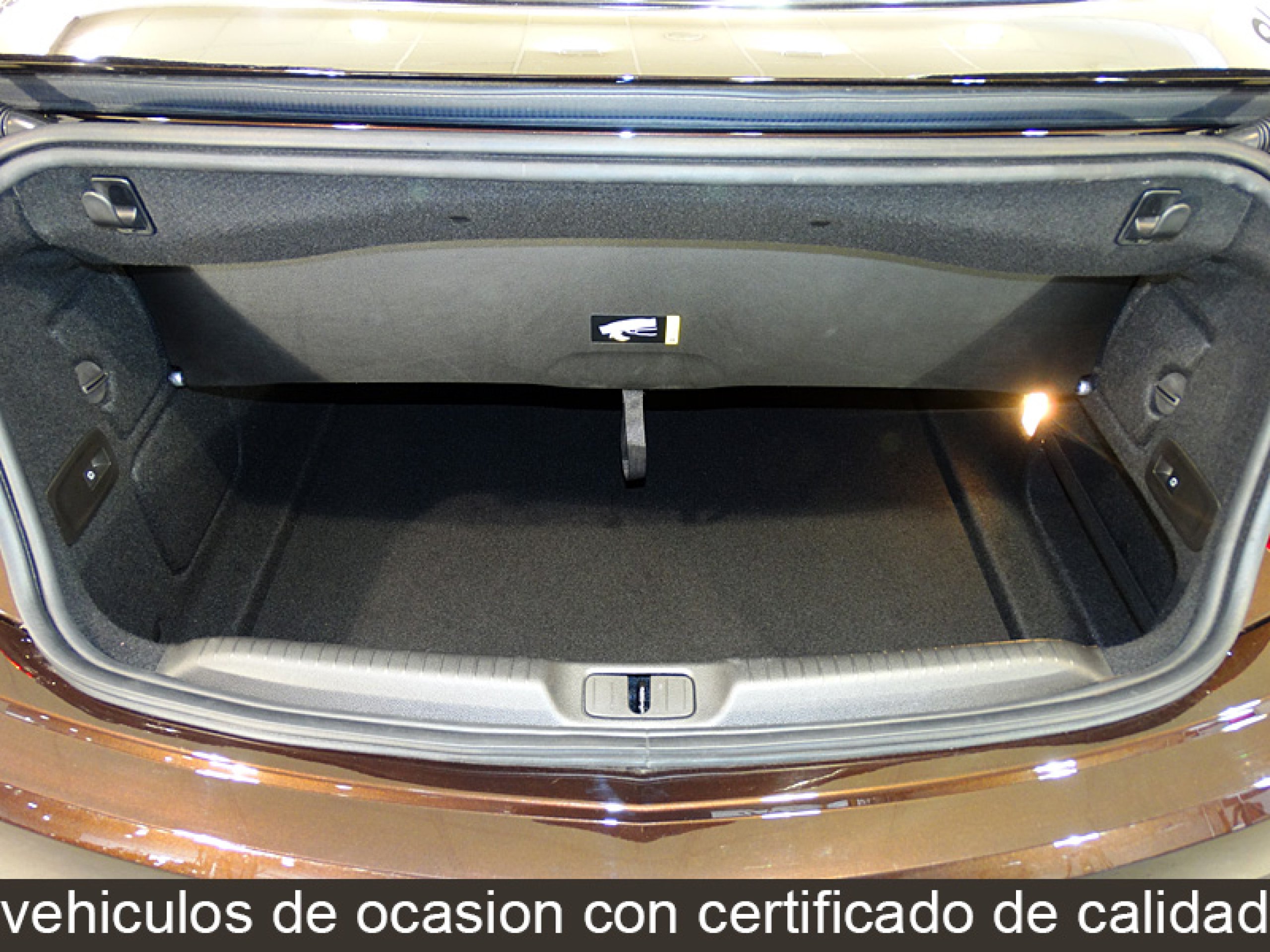 Foto Opel Cascada 14