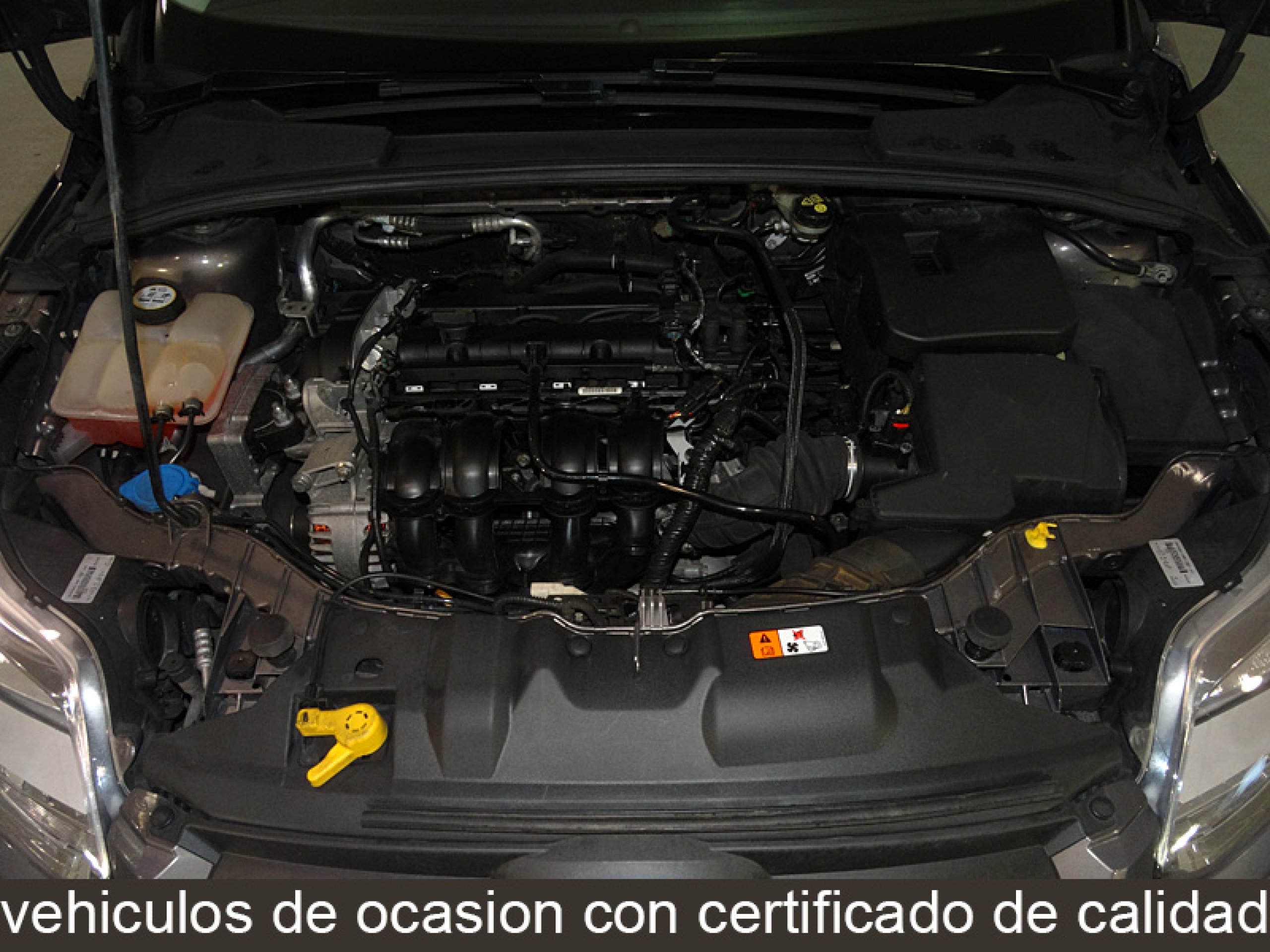 Foto Ford Focus 8