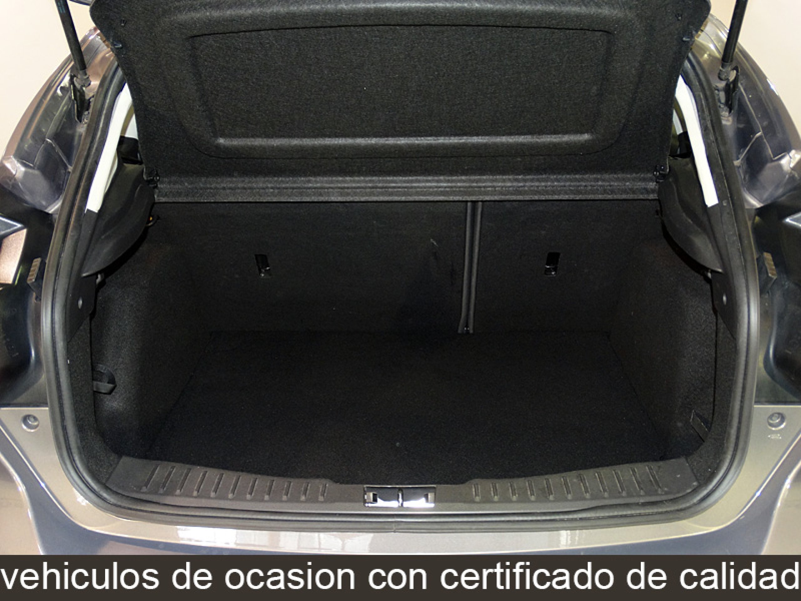 Foto Ford Focus 9