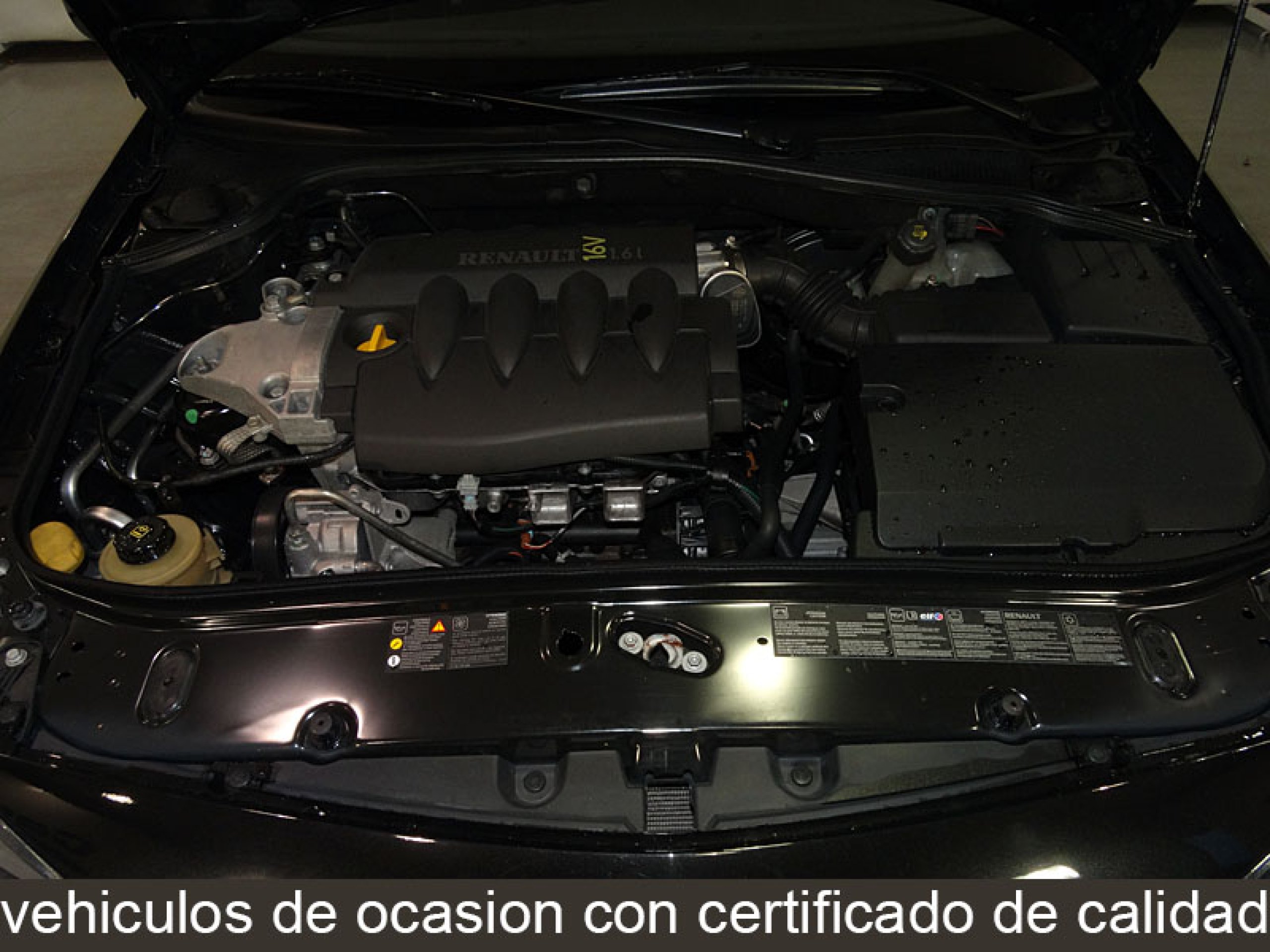 Foto Renault Laguna 9