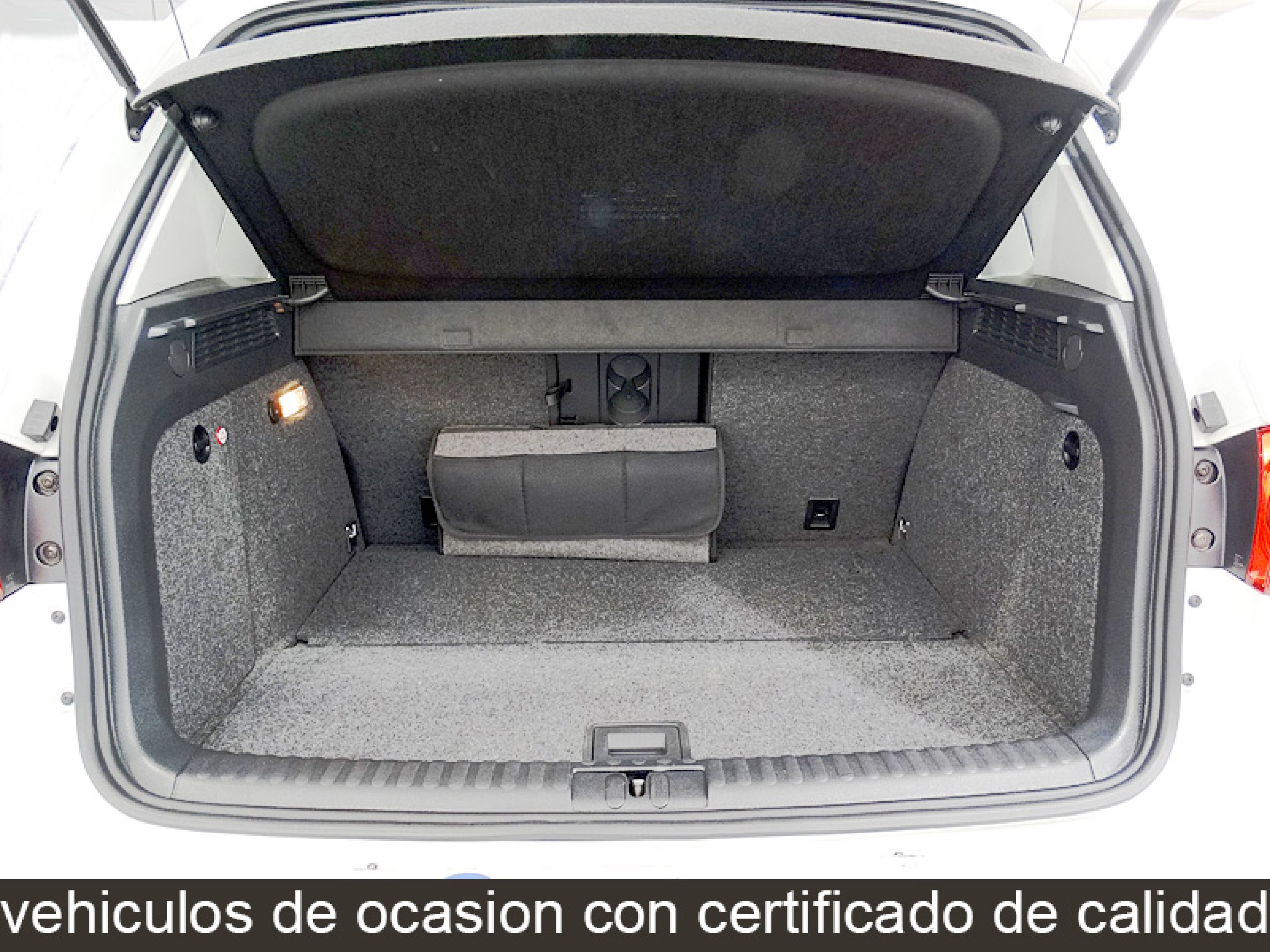Foto Volkswagen Tiguan 18