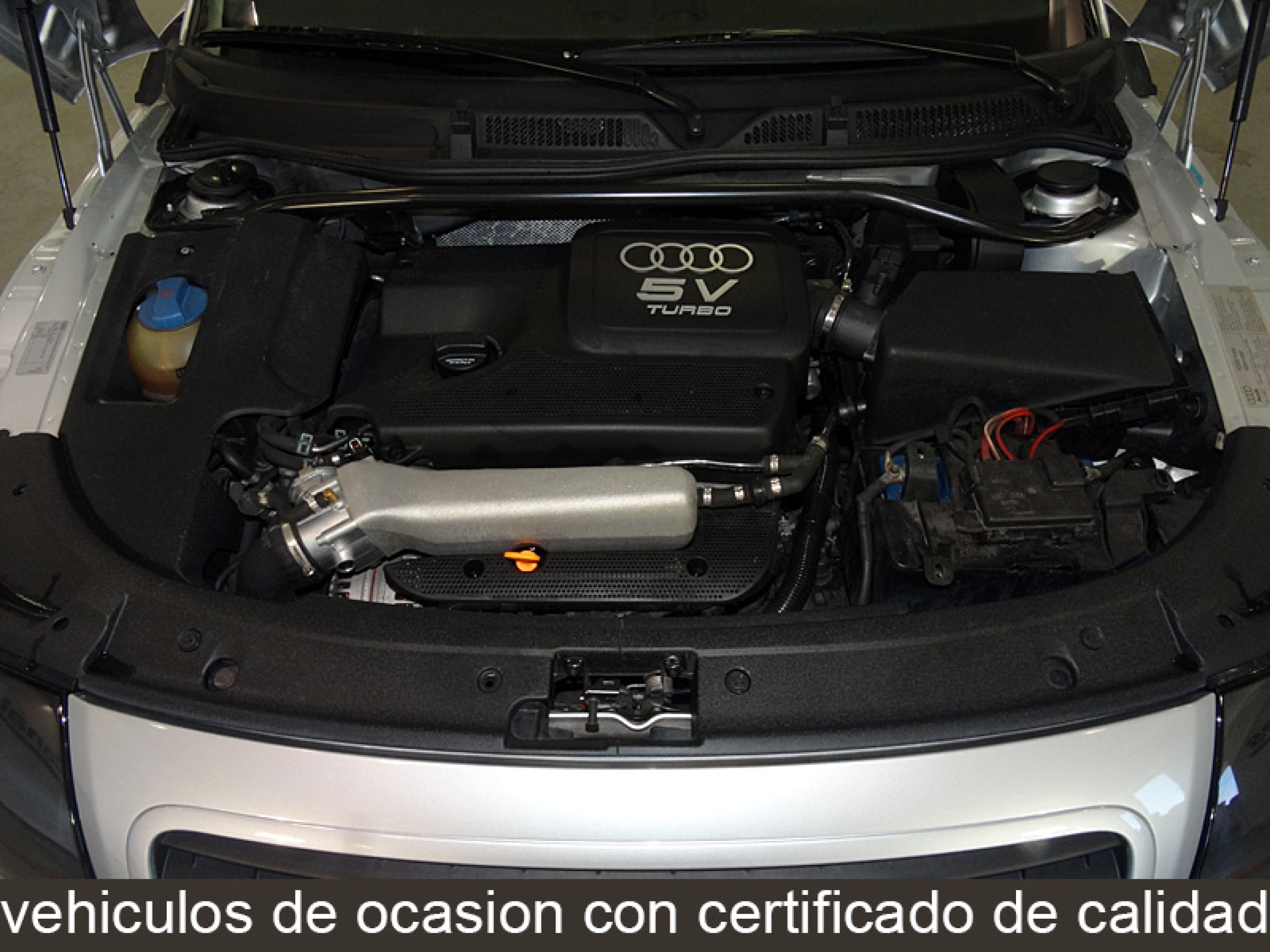 Foto Audi TT 8 Foto Audi TT 8