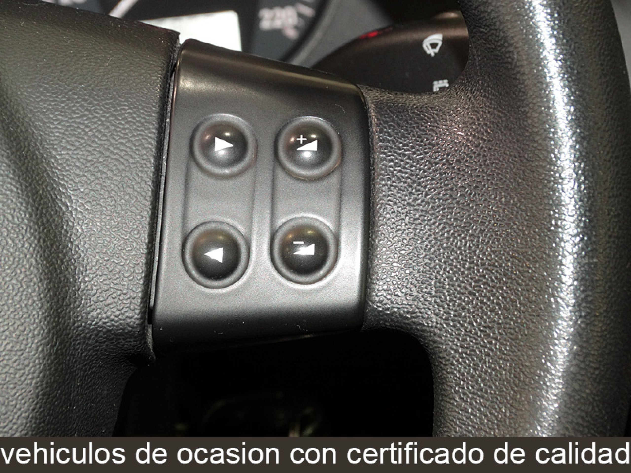 Foto Seat Ibiza 19