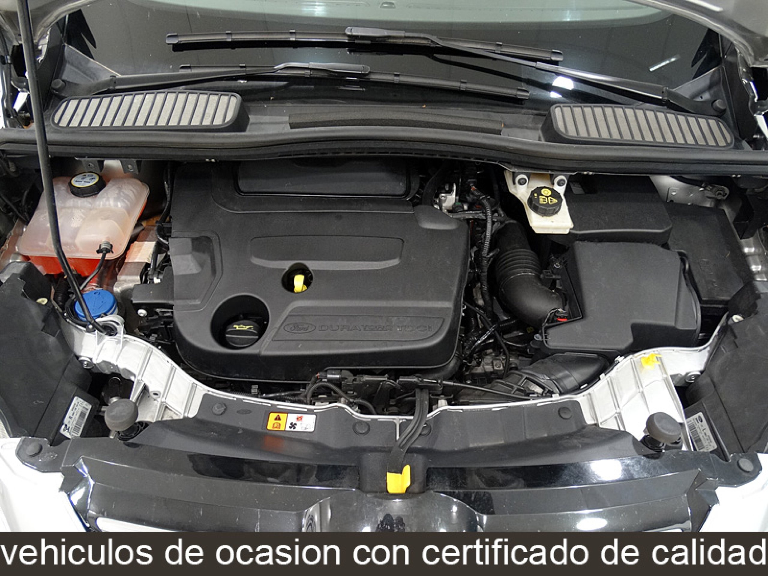Foto Ford C-Max 12