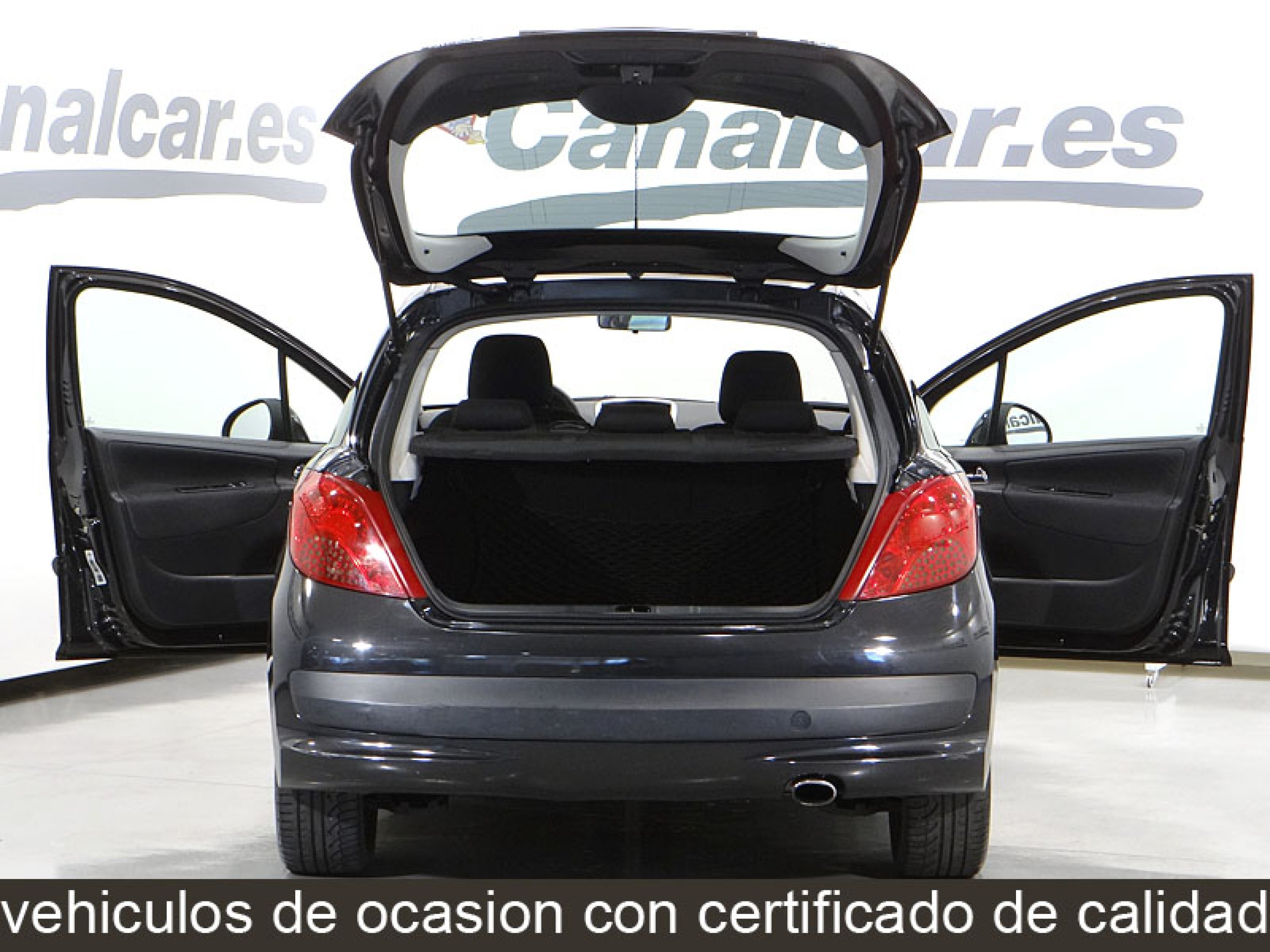 Foto Peugeot 207 8