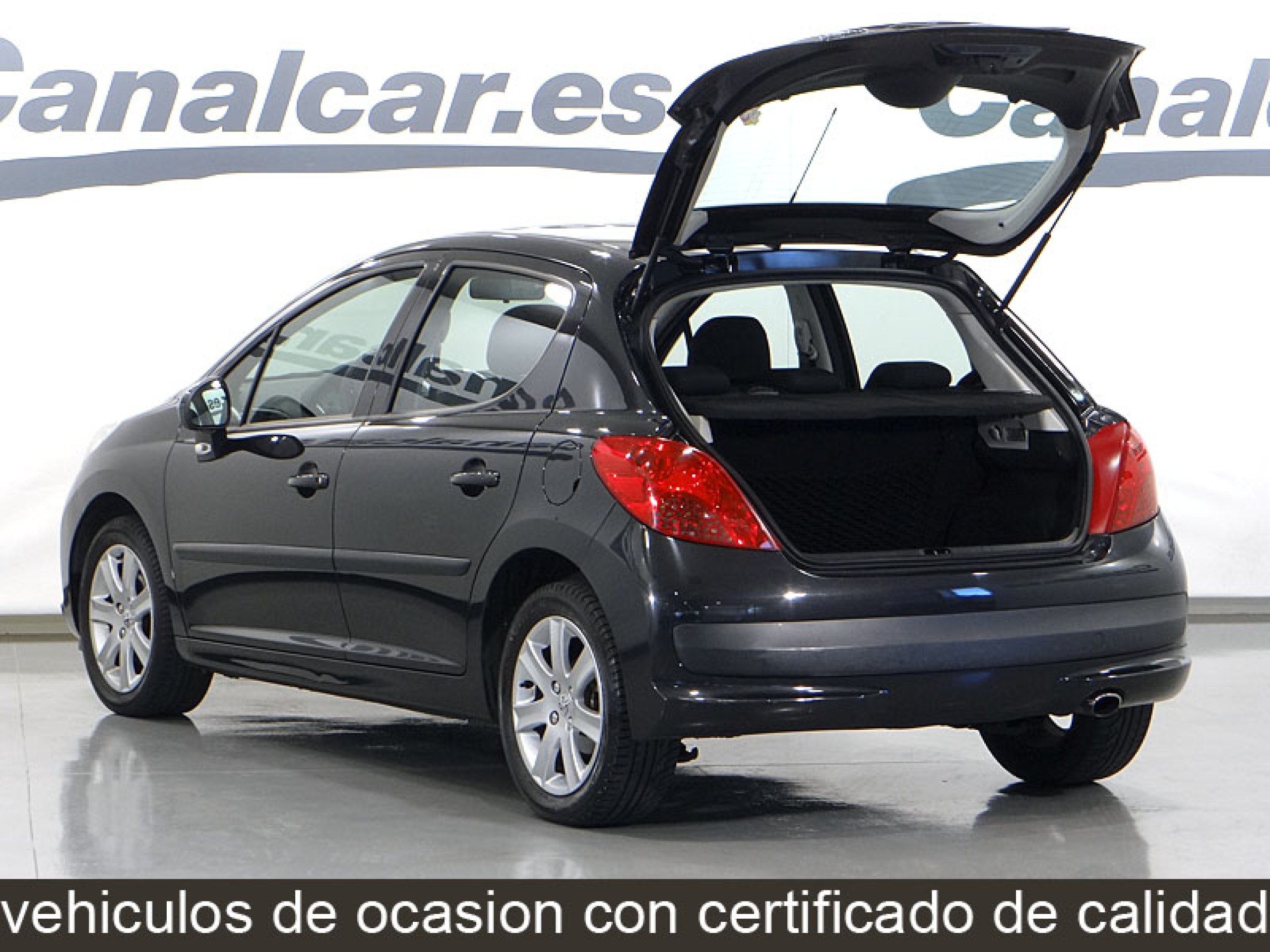 Foto Peugeot 207 9