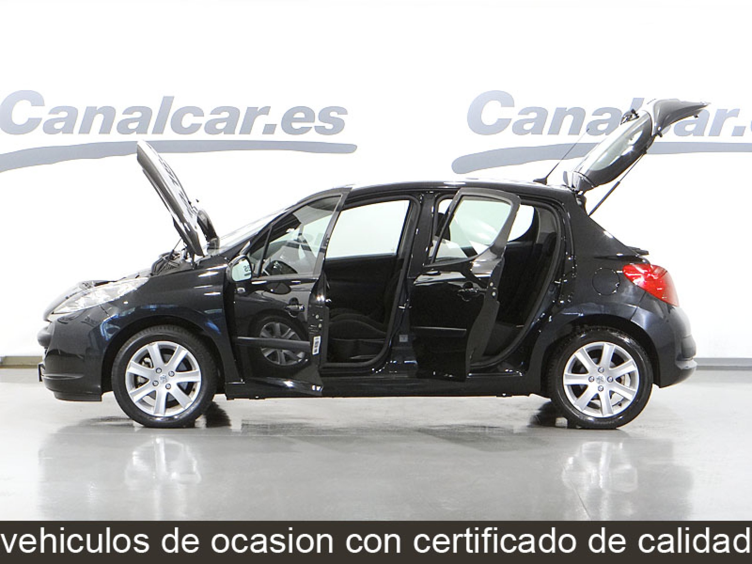 Foto Peugeot 207 12