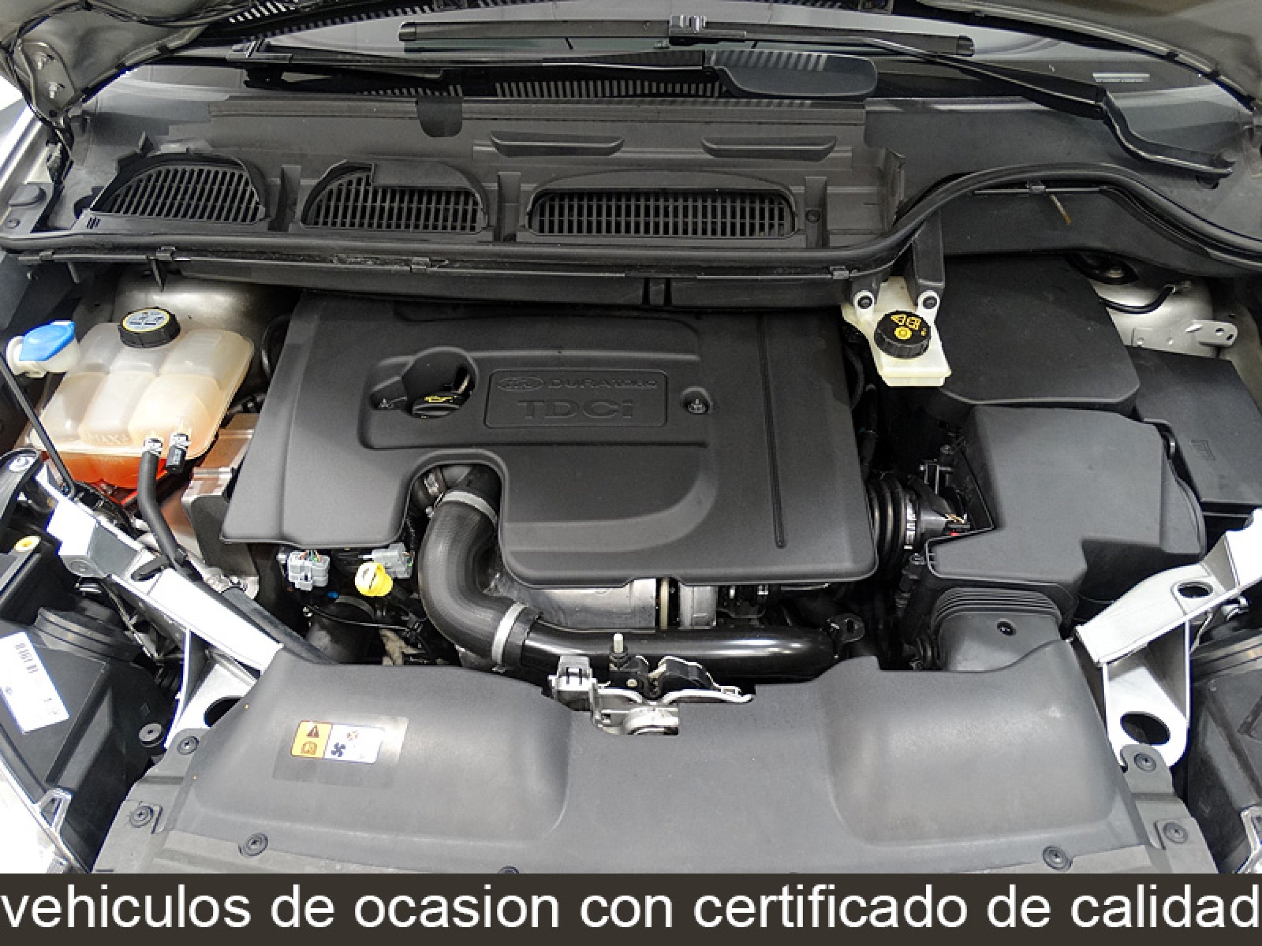Foto Ford C-Max 13