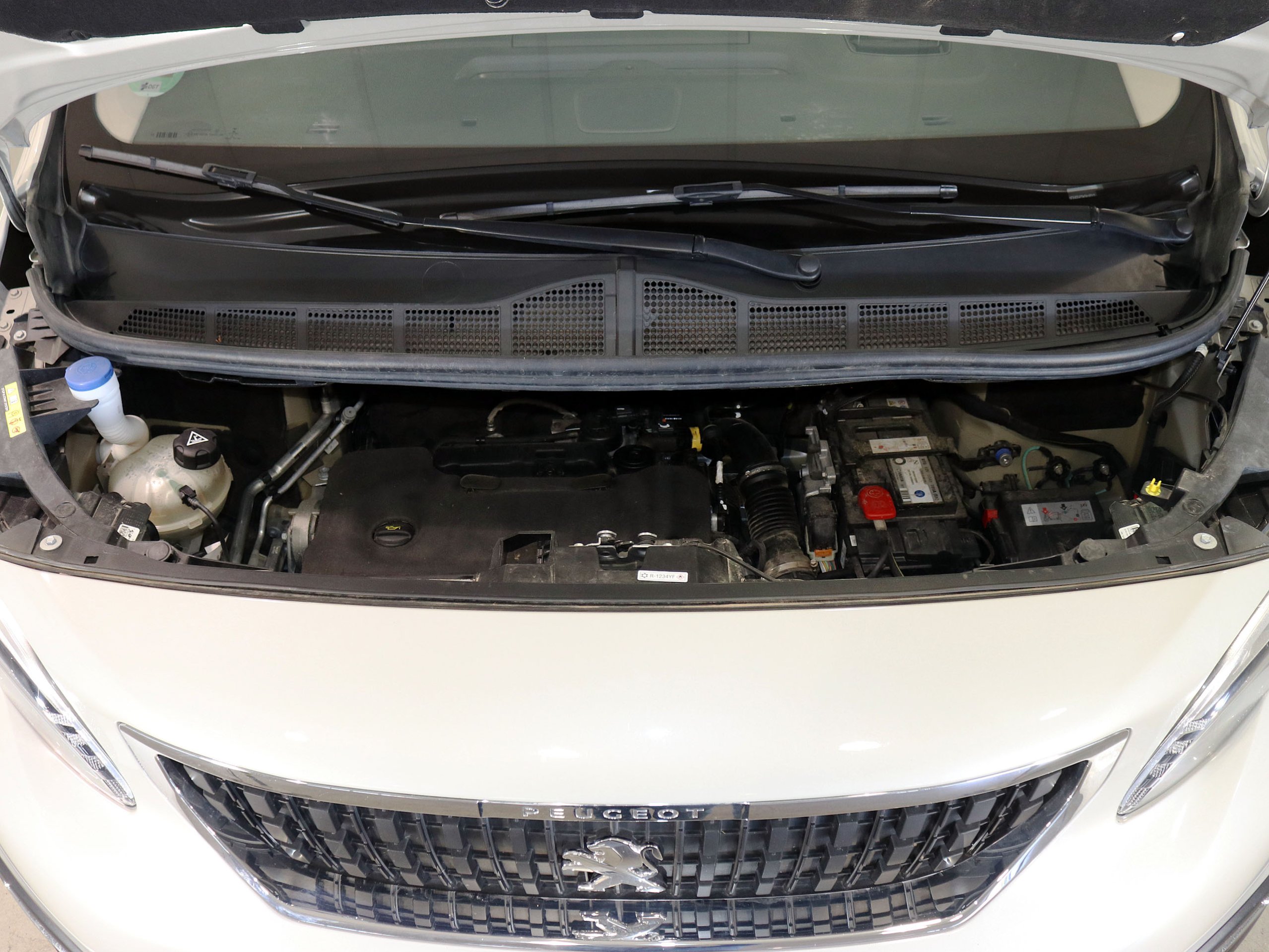 Foto Peugeot Traveller 8