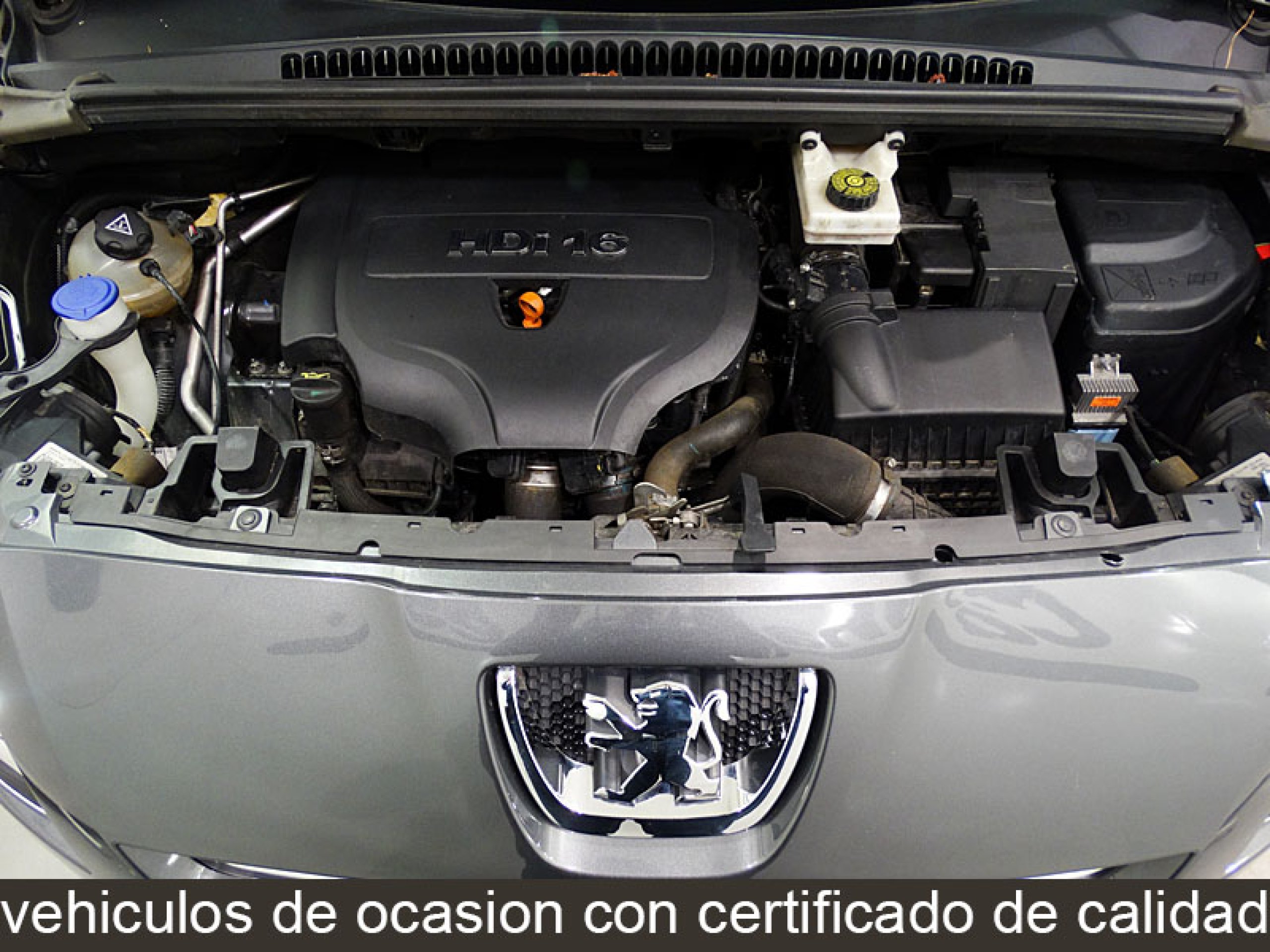 Foto Peugeot 5008 11