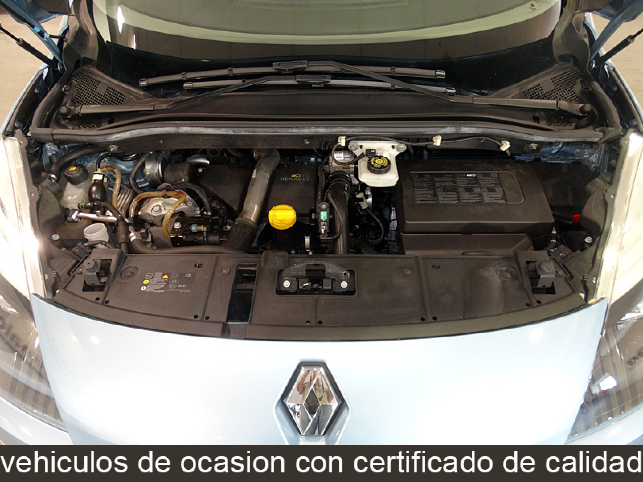 Foto Renault Scenic 9