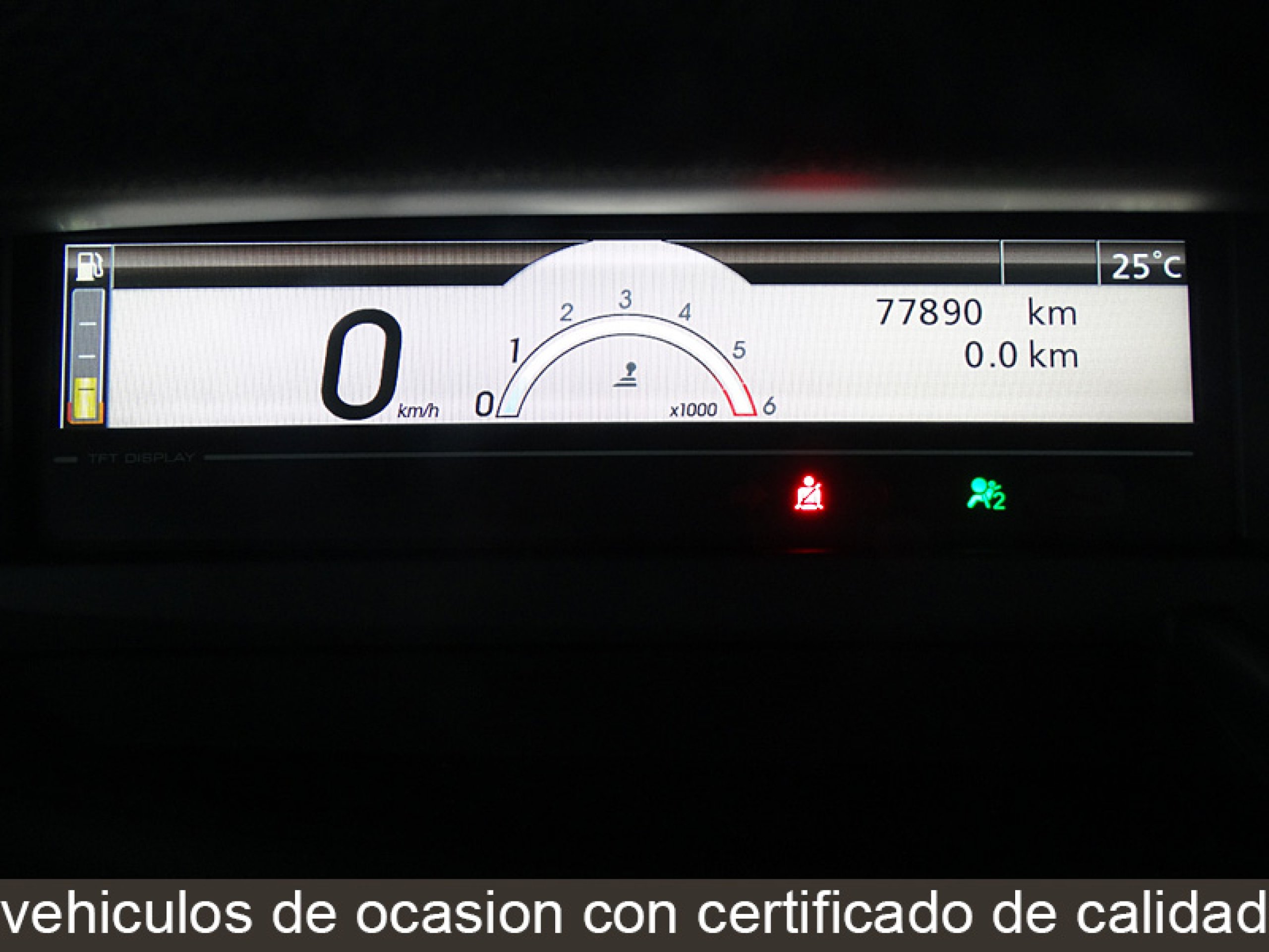Foto Renault Scenic 18
