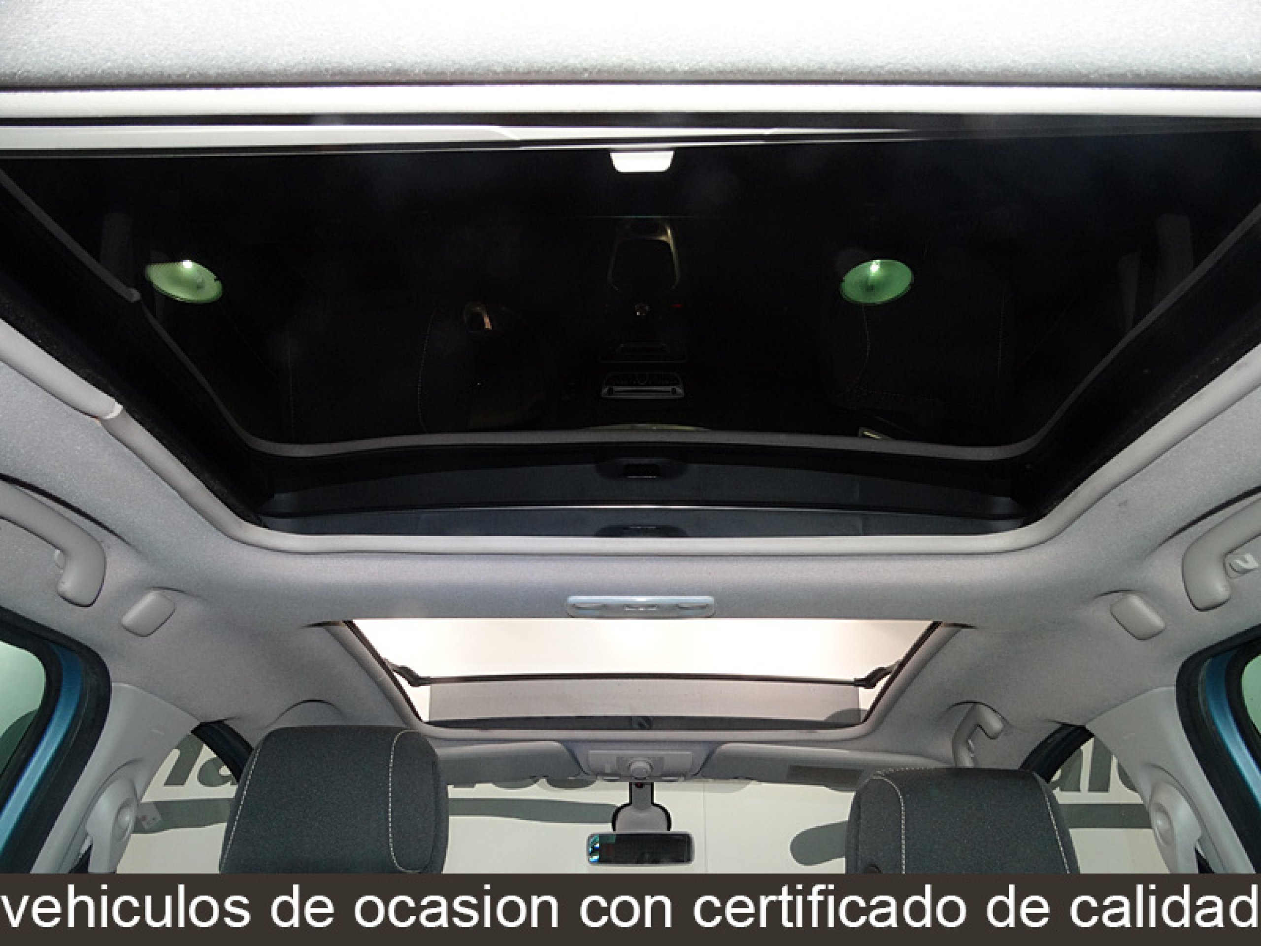 Foto Renault Scenic 19