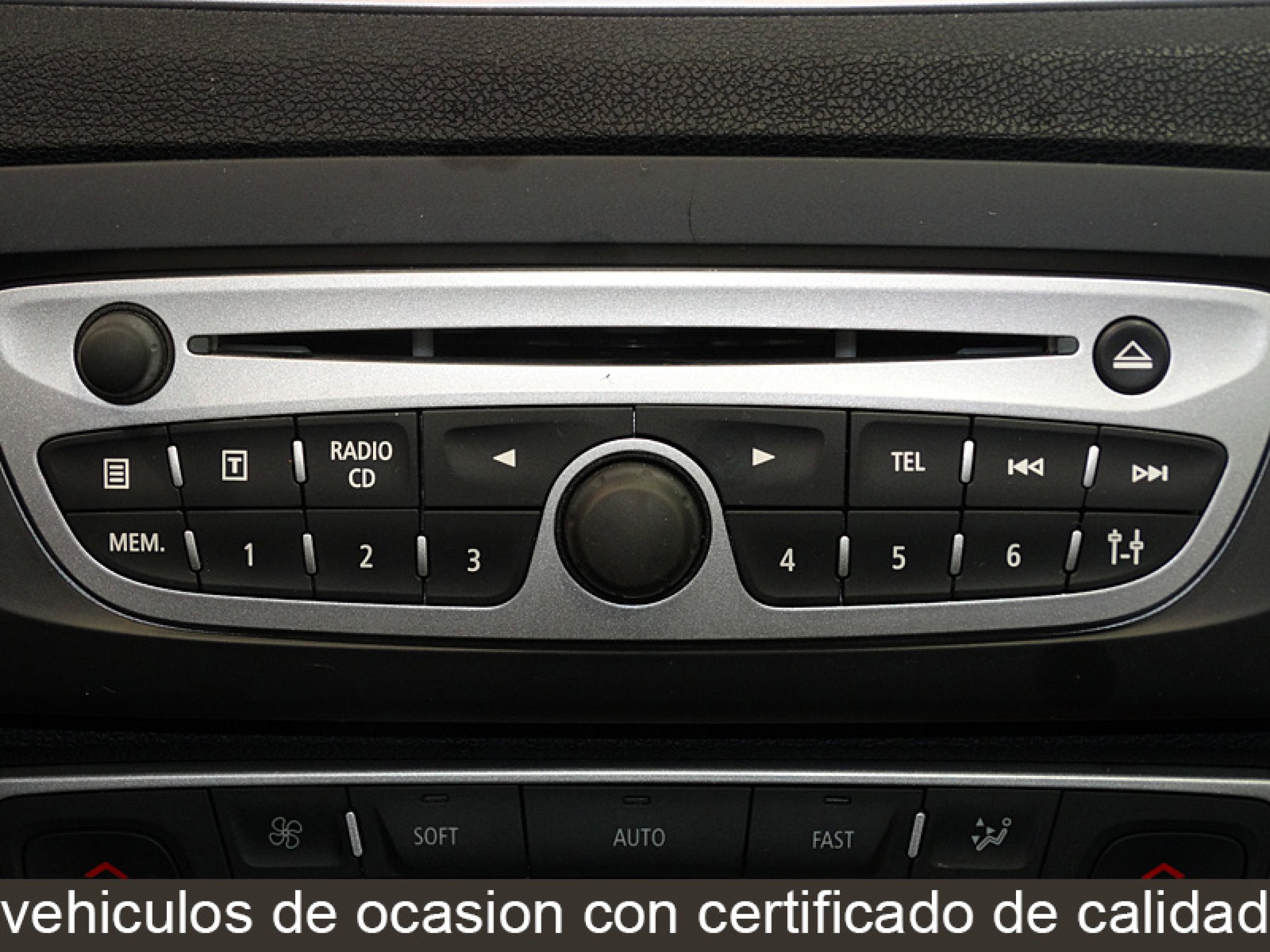 Foto Renault Scenic 26