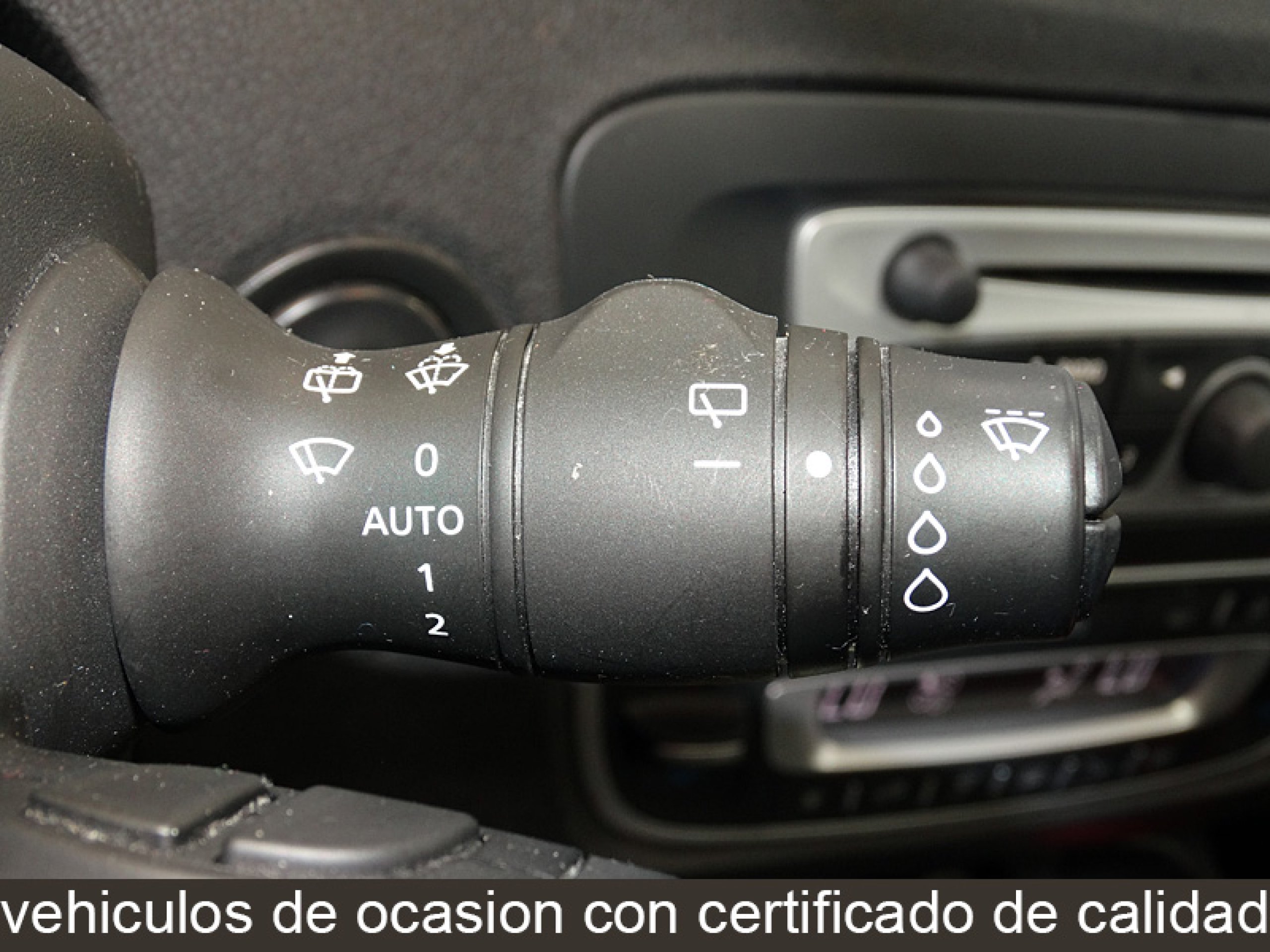 Foto Renault Scenic 33
