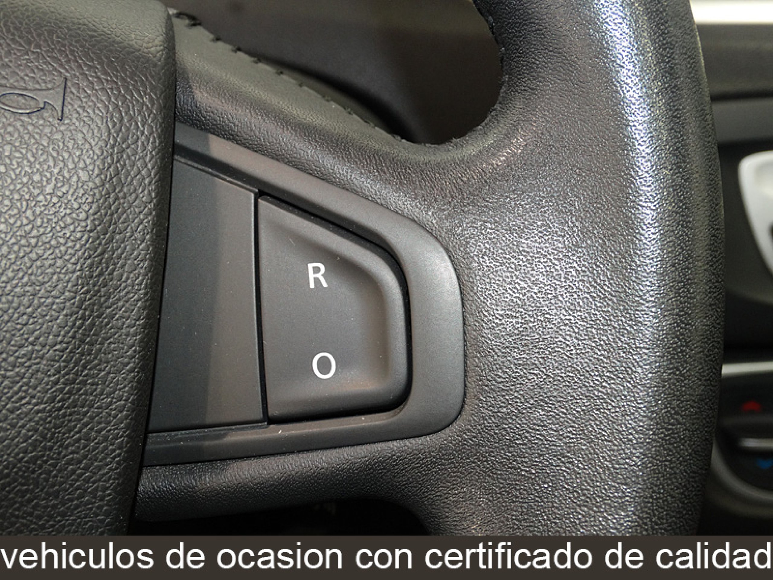 Foto Renault Scenic 36