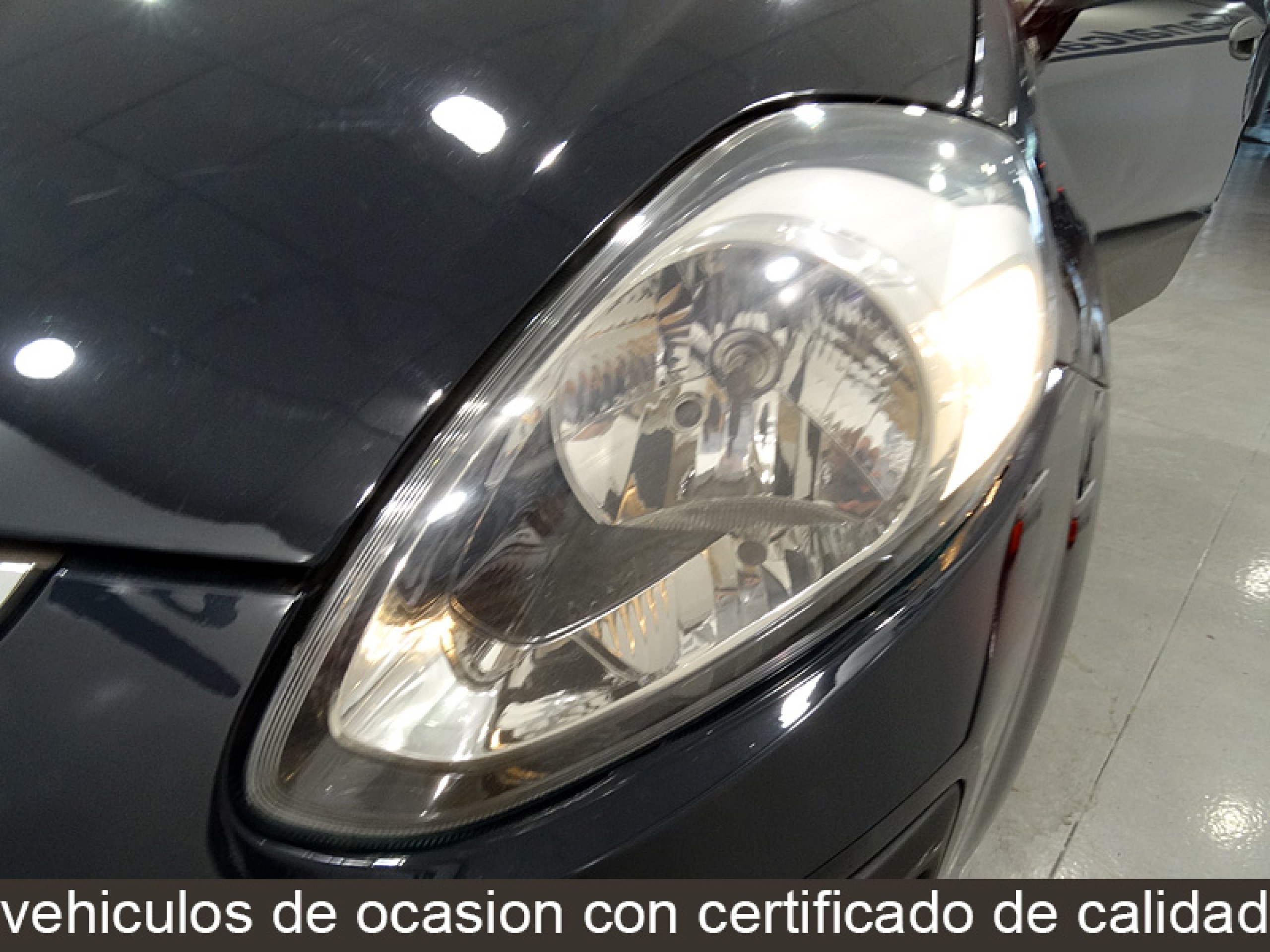 Foto Fiat Punto Evo 12