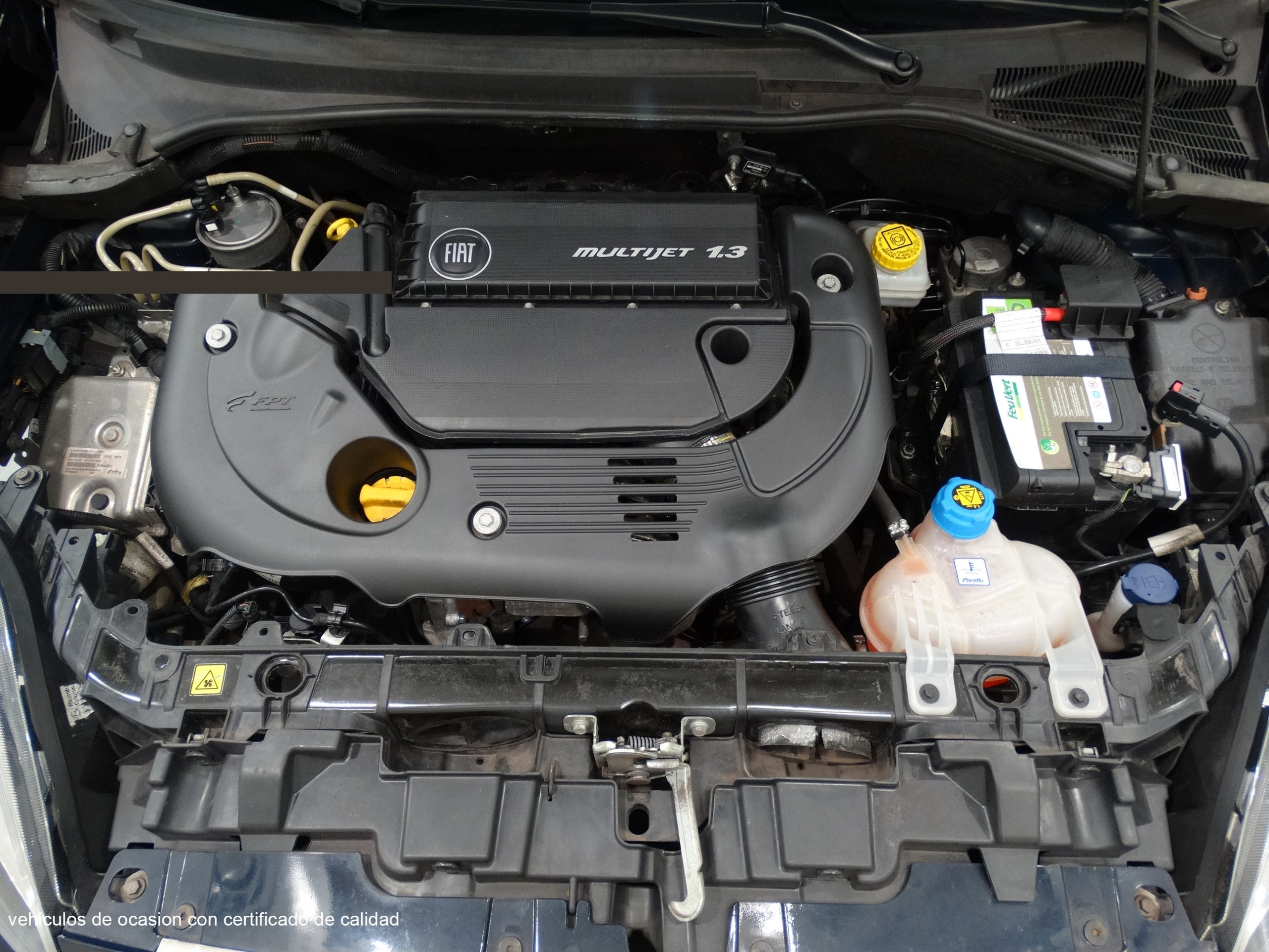 Foto Fiat Punto Evo 13