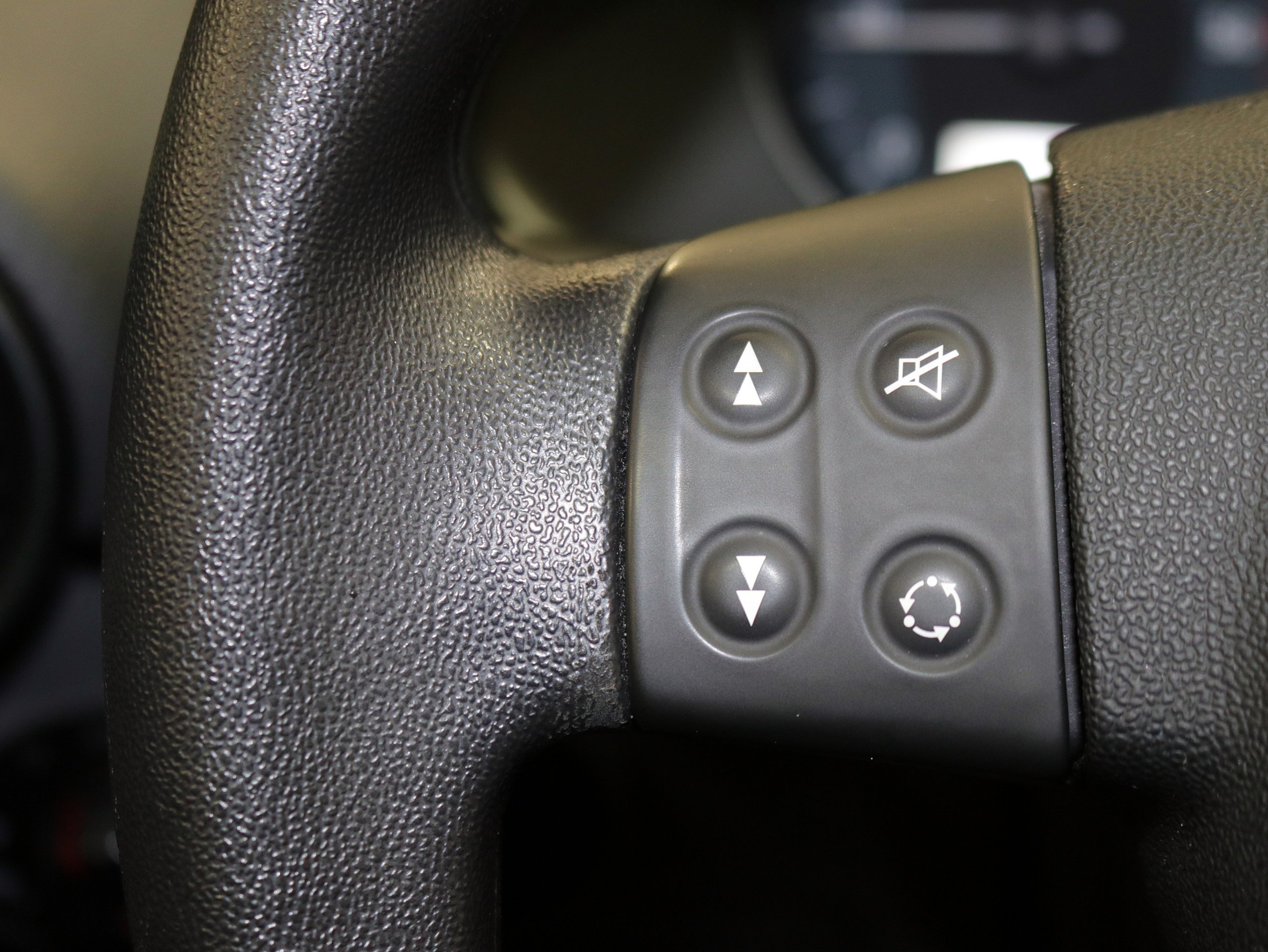Foto Seat Ibiza 25