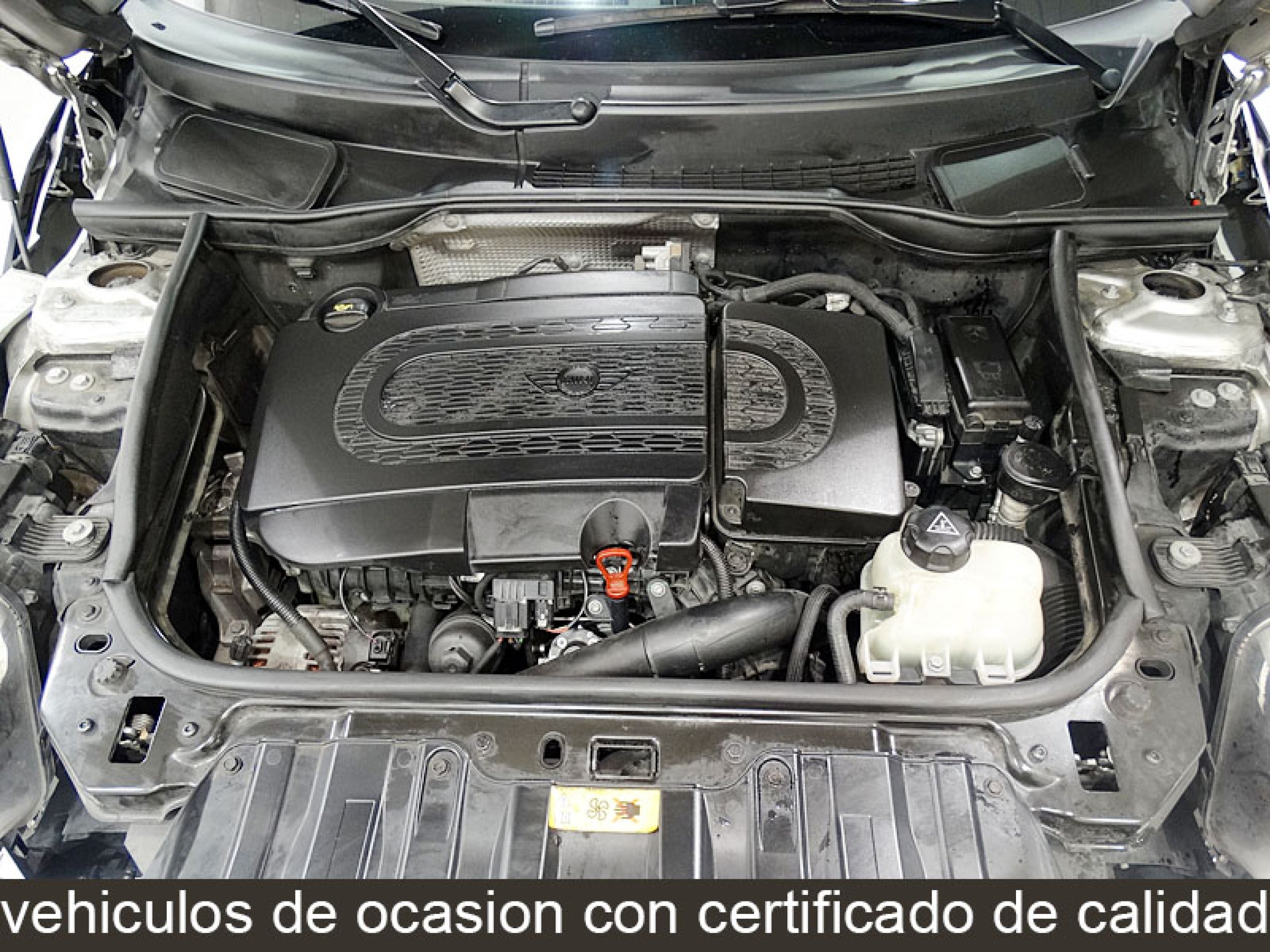Foto Mini Countryman 16