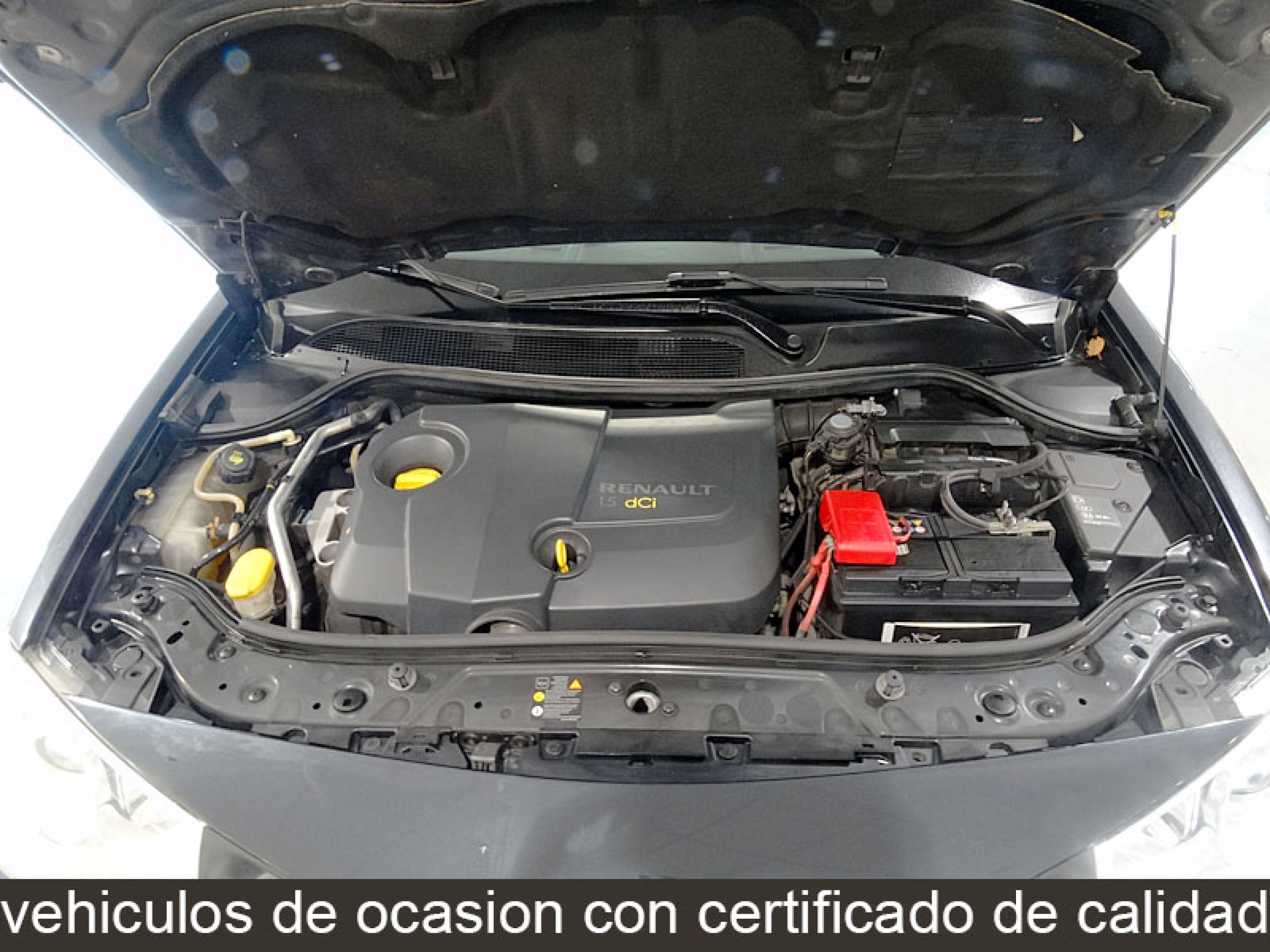 Foto Renault Megane 16