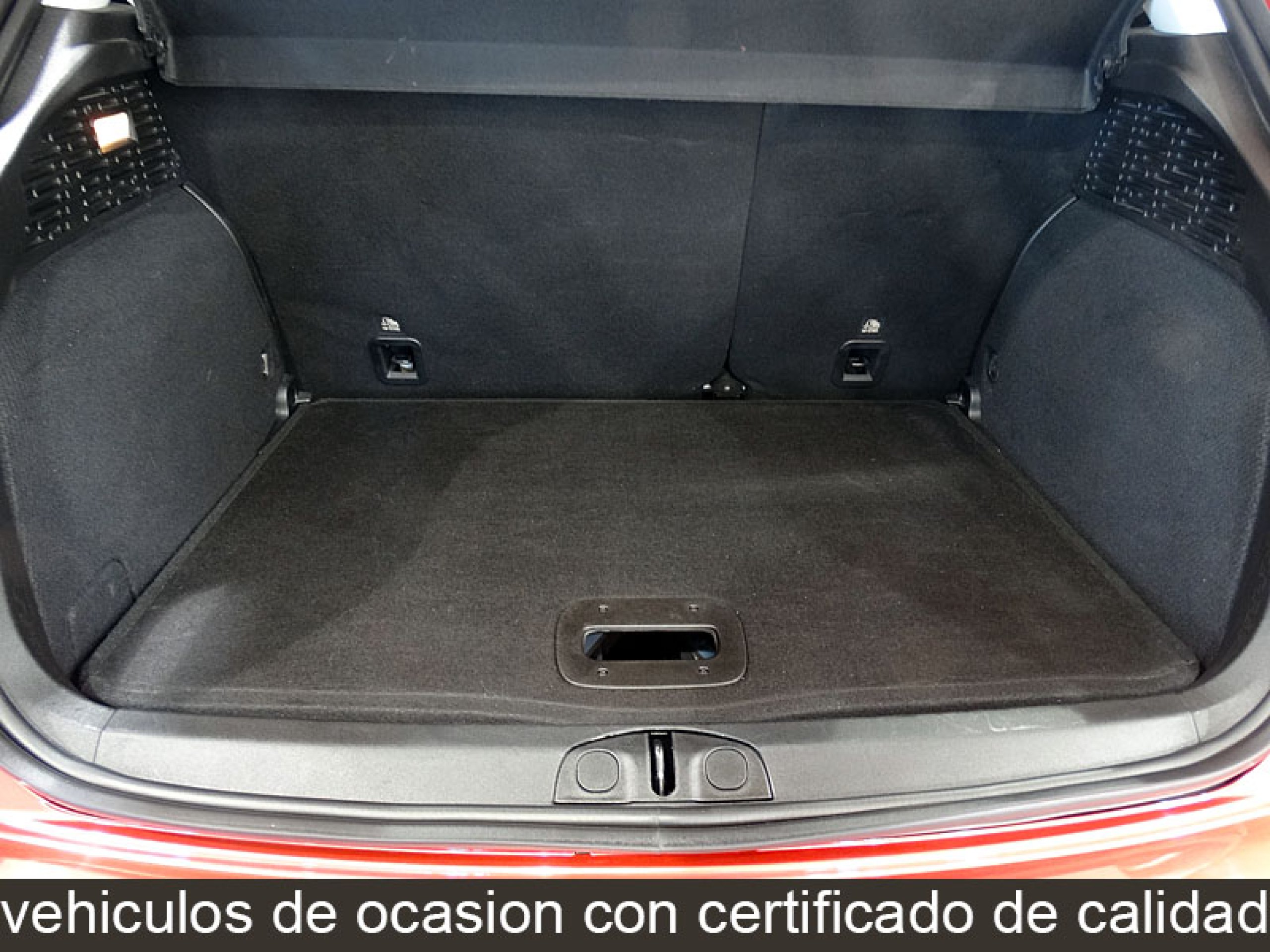 Foto Fiat 500 13