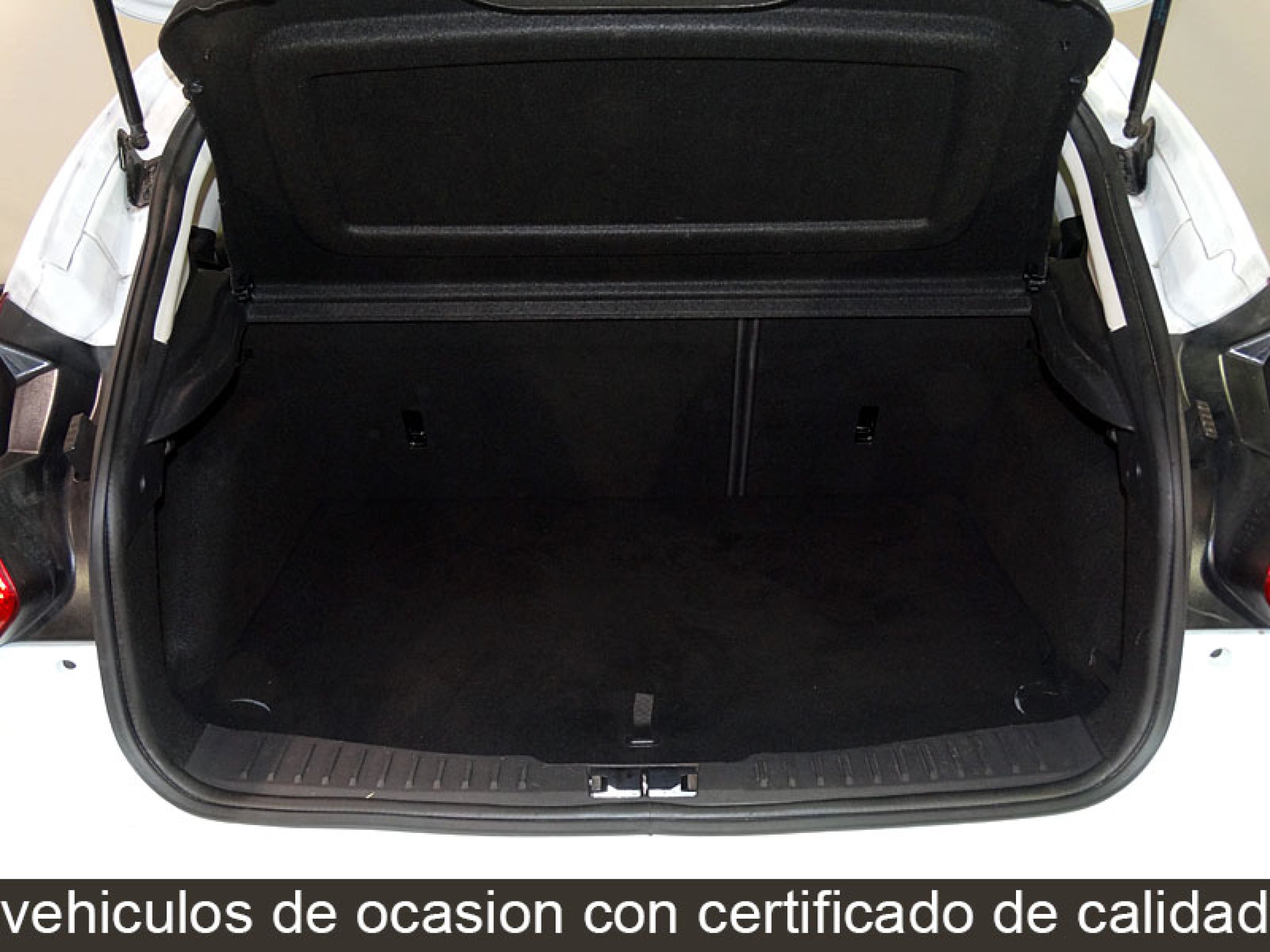 Foto Ford Focus 8
