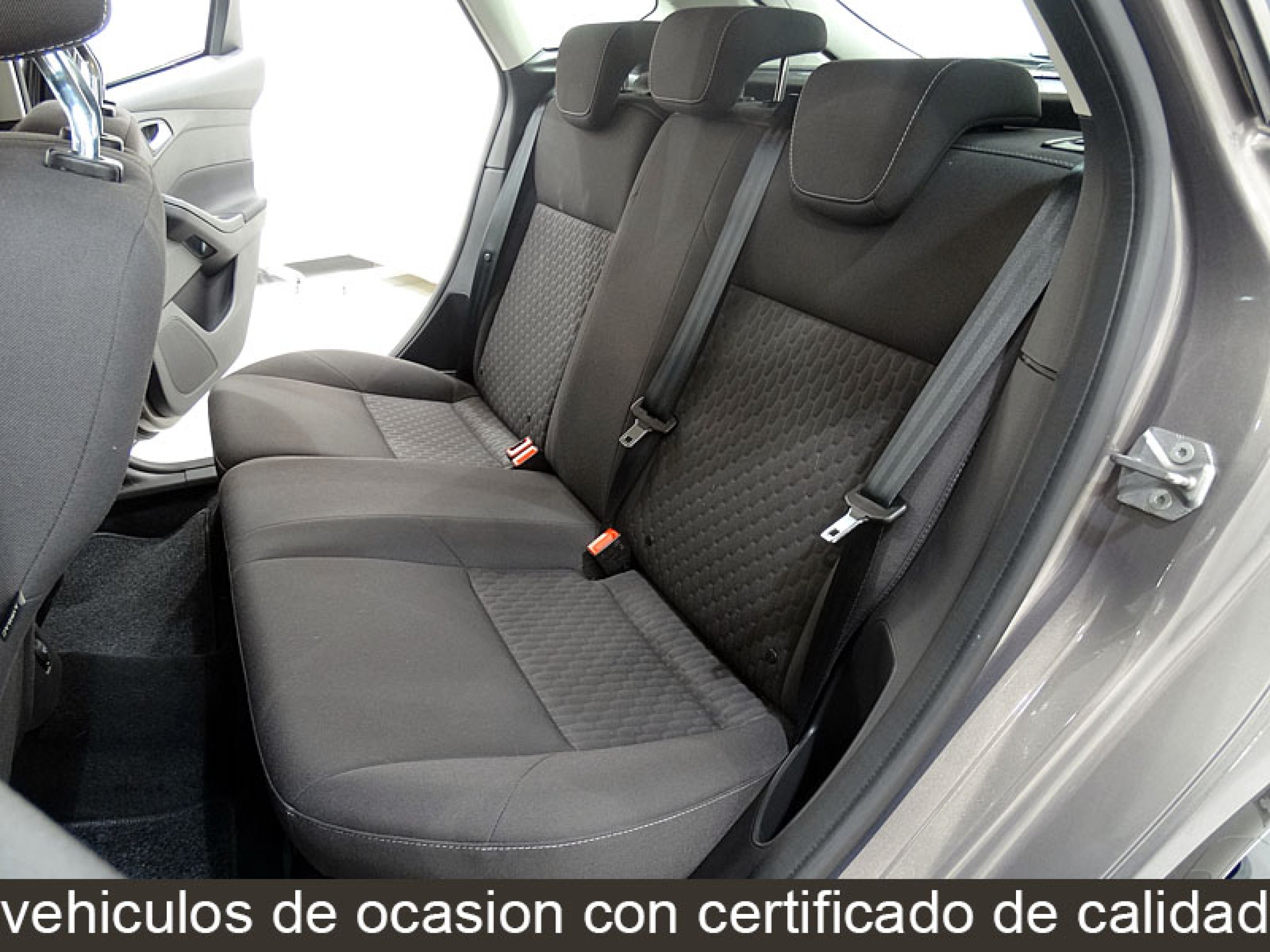 Foto Ford Focus 8