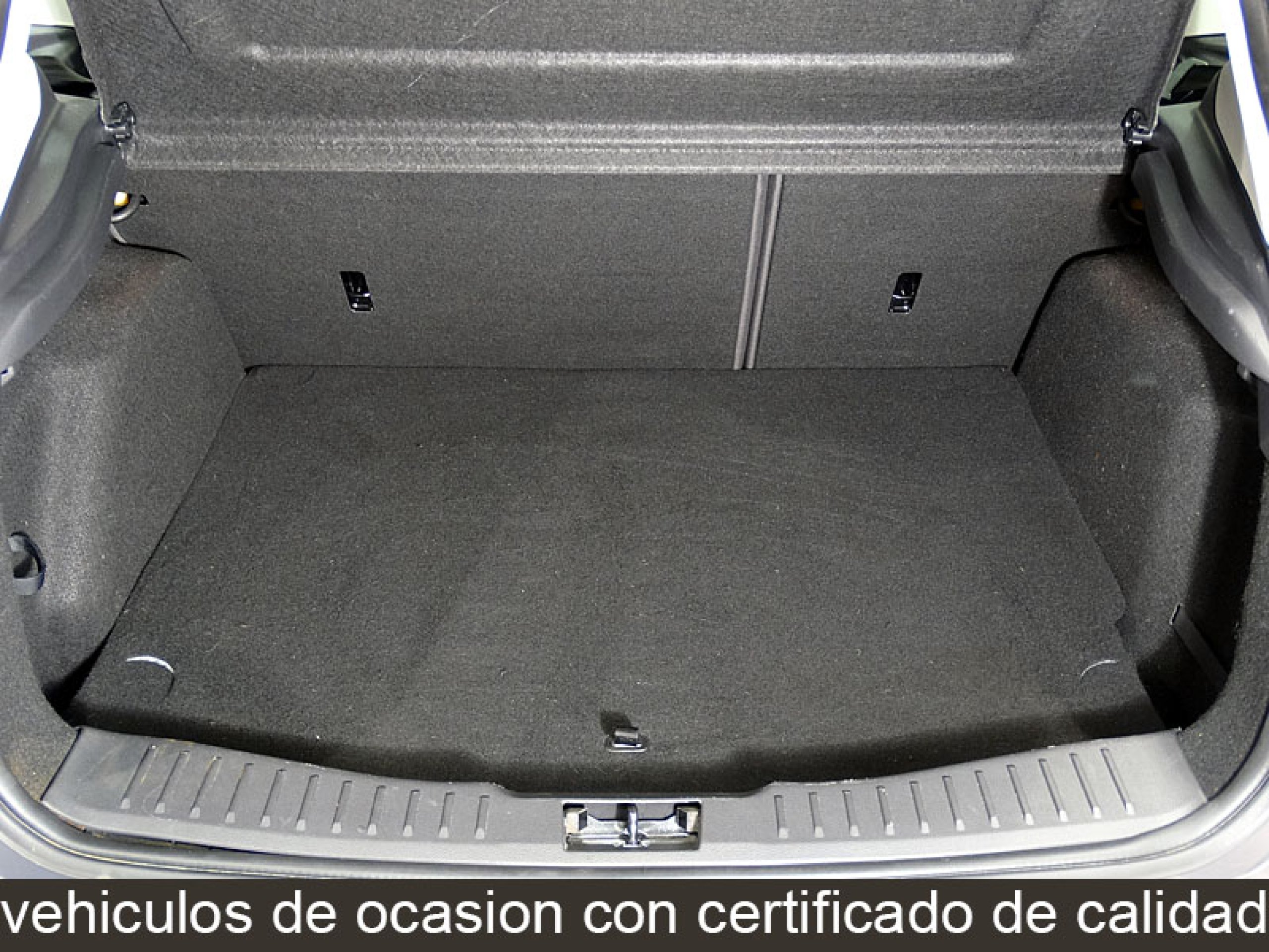 Foto Ford Focus 31