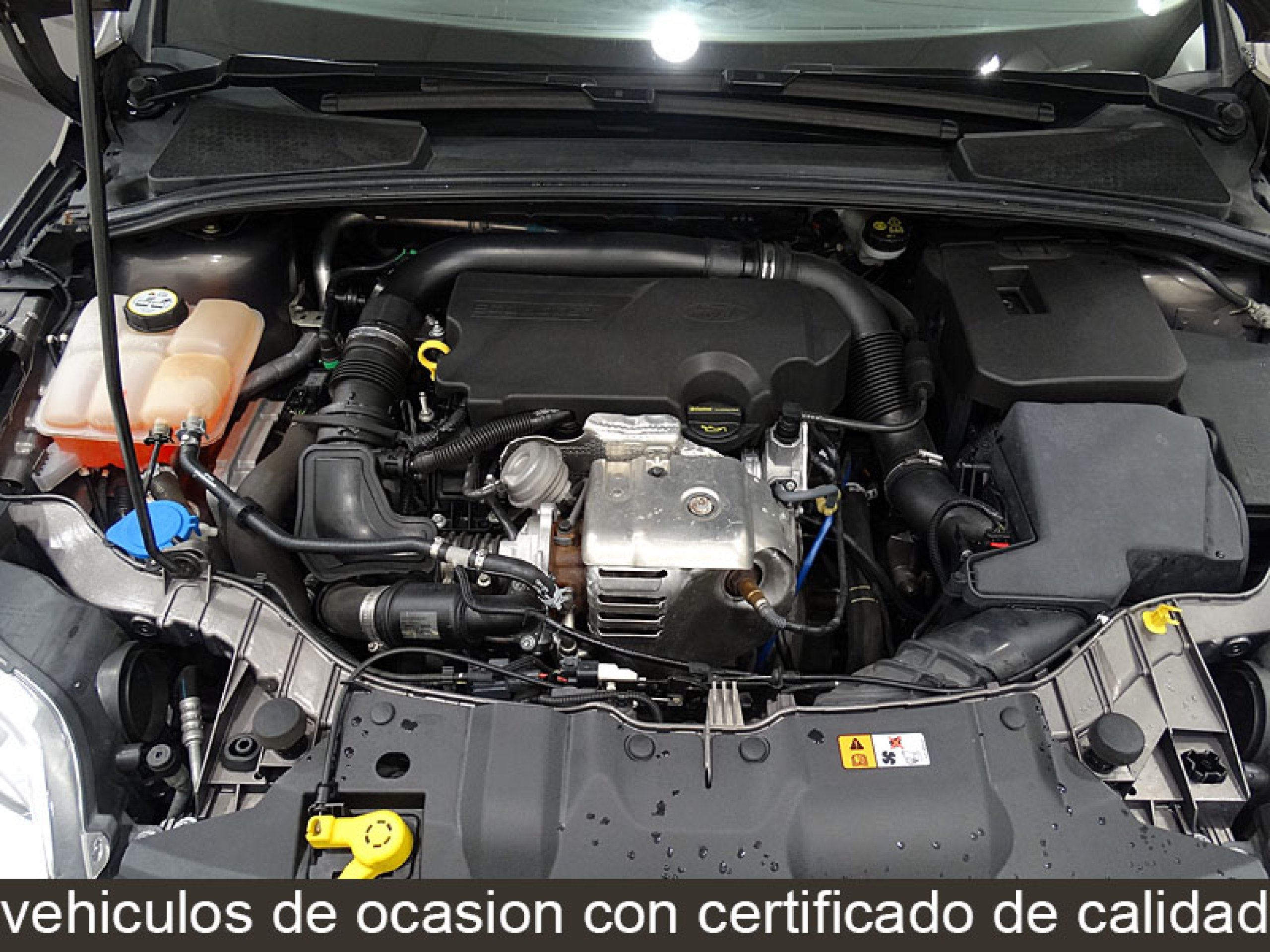 Foto Ford Focus 34